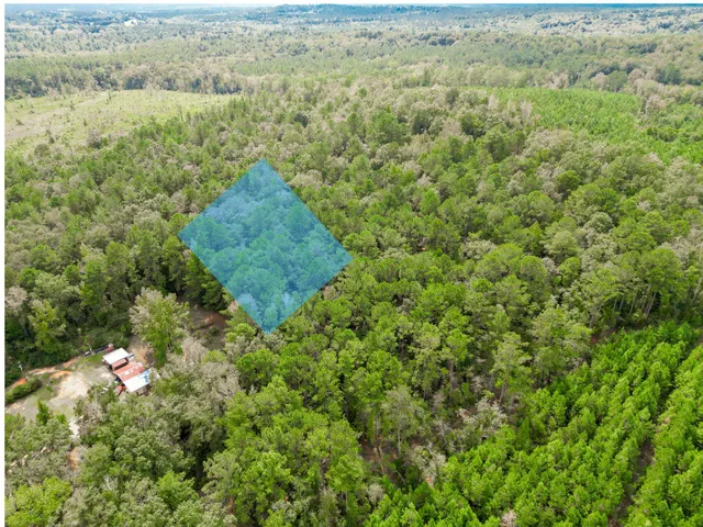 a view of a green yard