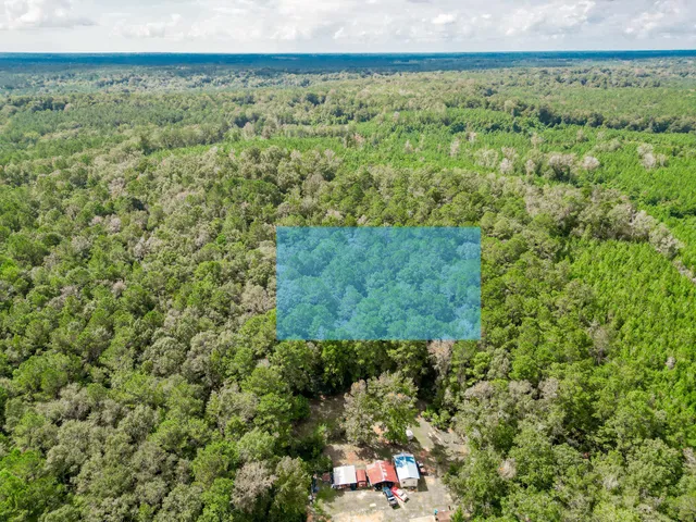 a view of a yard with an outdoor space