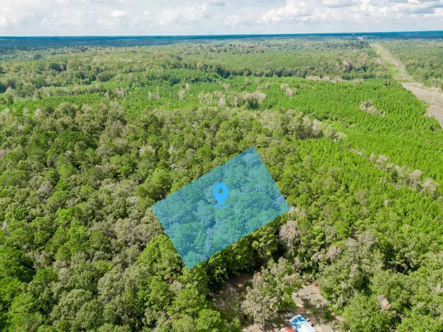a view of a garden with an outdoor space