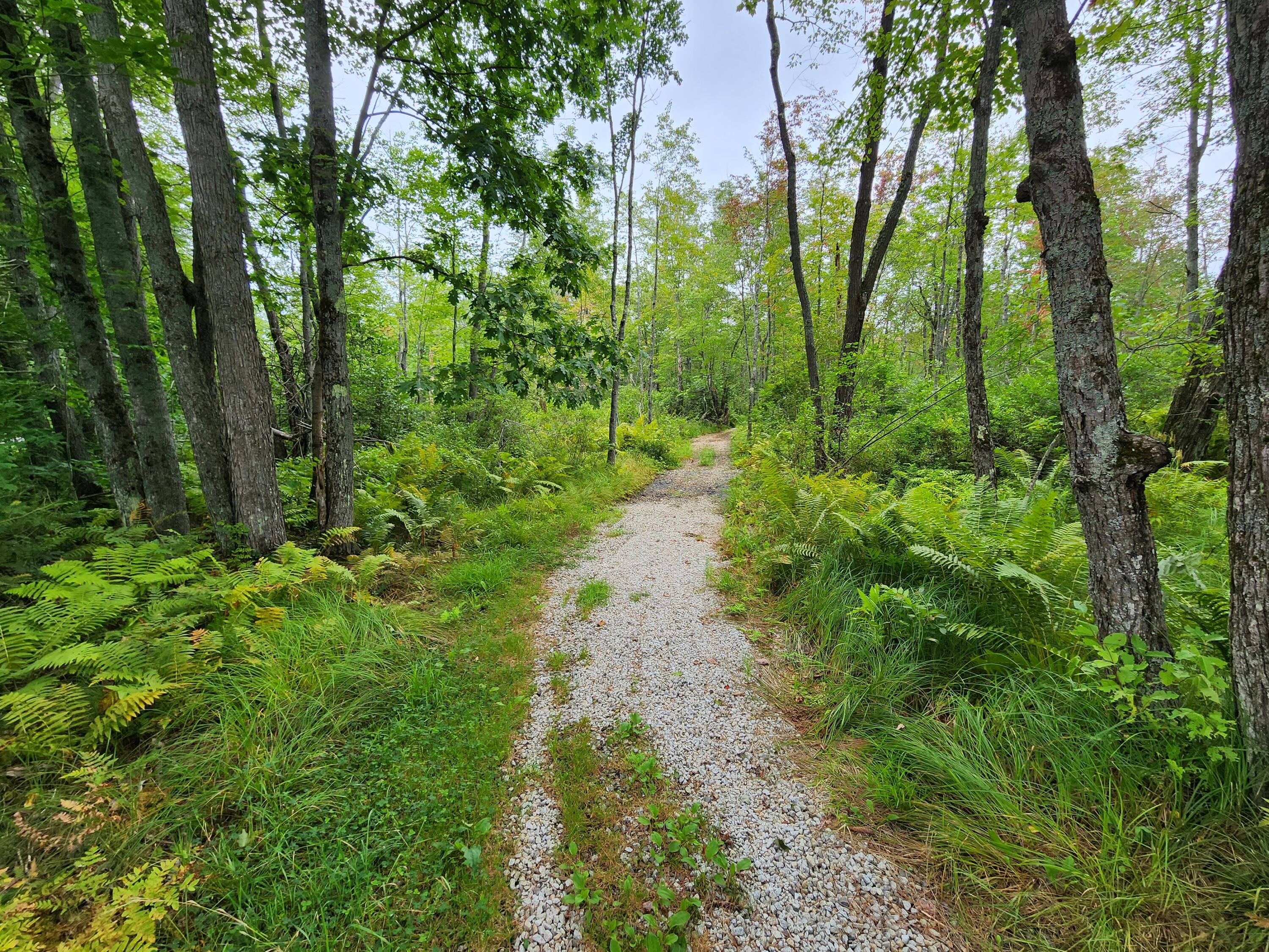 233 Chesterville Ridge Road Fayette, ME 04349 - Photo 5 of 11 Stone walkway to water's edge.