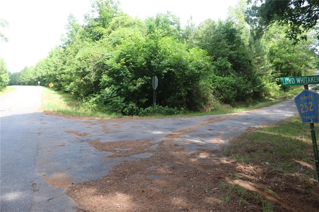 1800-1900 Parish 277 Road Shongaloo, LA 71072 - Photo 6 of 9