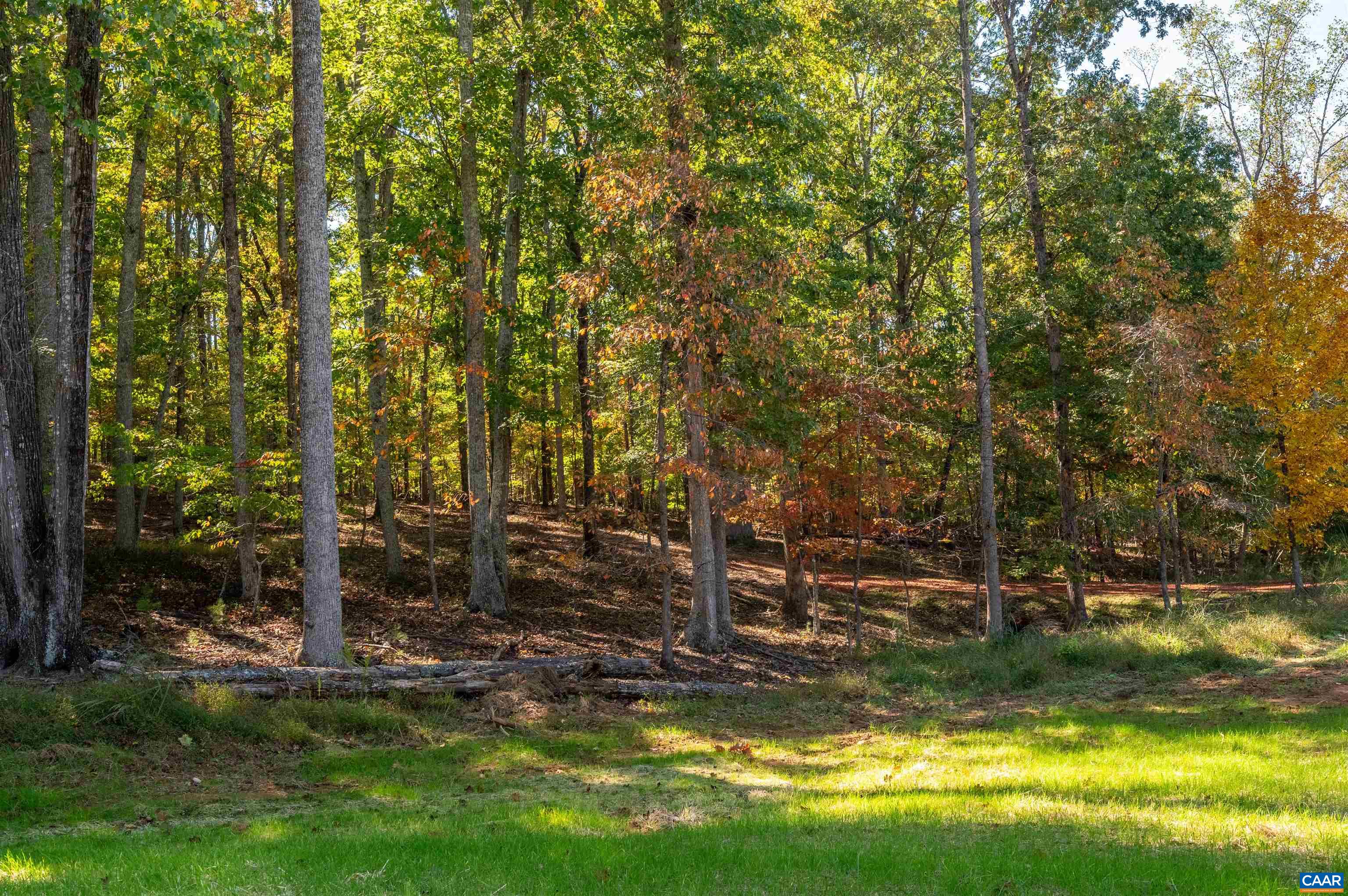 7337 B Dick Woods Road Afton, VA 22920 - Photo 8 of 10