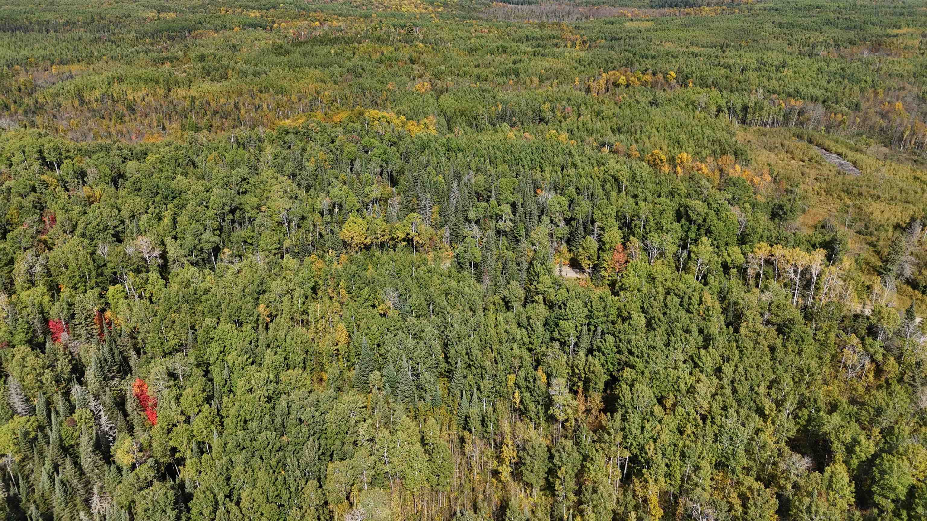12012 Keyes Road Orr, MN 55771 - Photo 11 of 22 Aerial view of property's location with a heavily wooded area