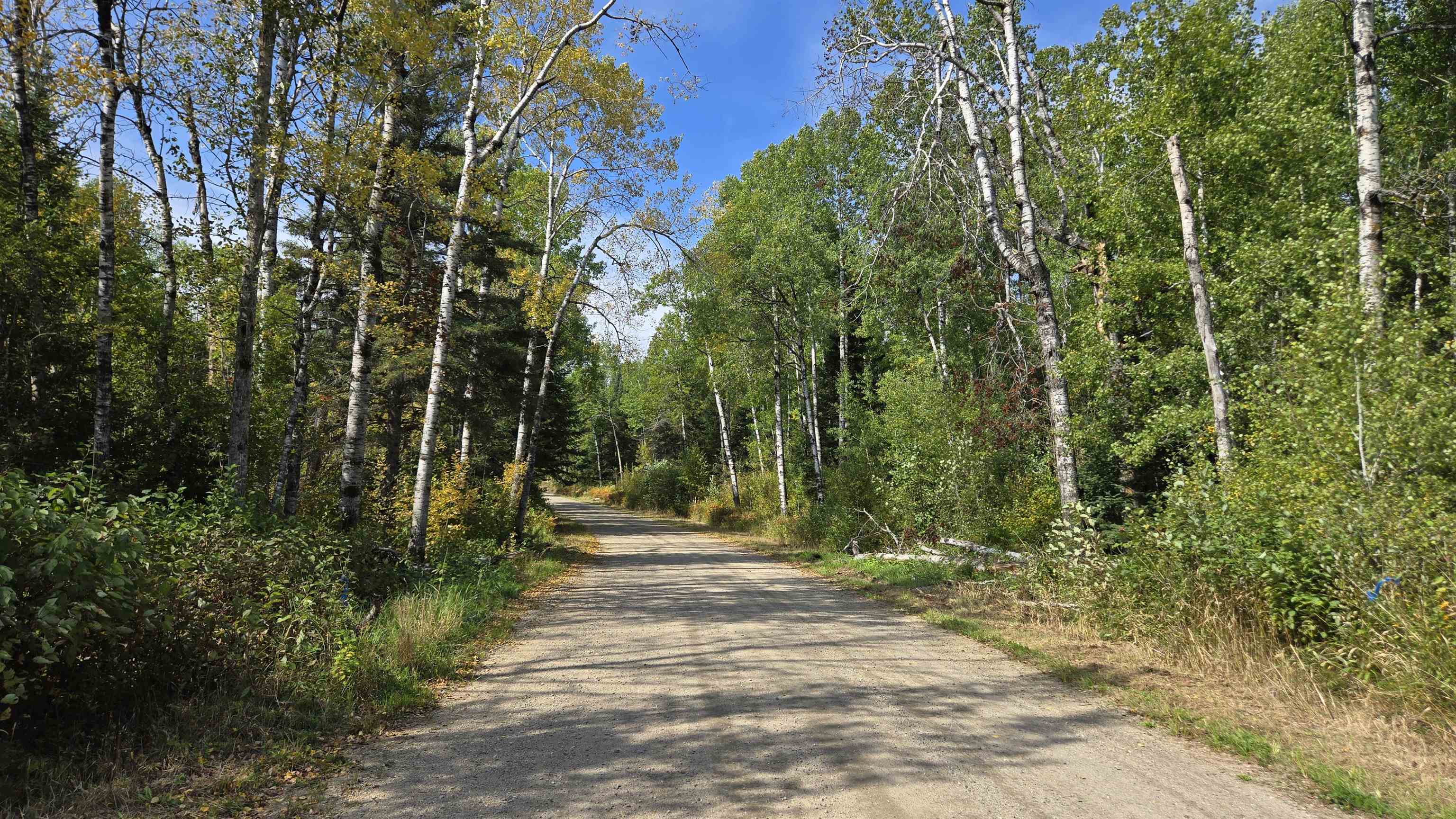 12012 Keyes Road Orr, MN 55771 - Photo 13 of 22 View of dirt / gravel road with a view of trees