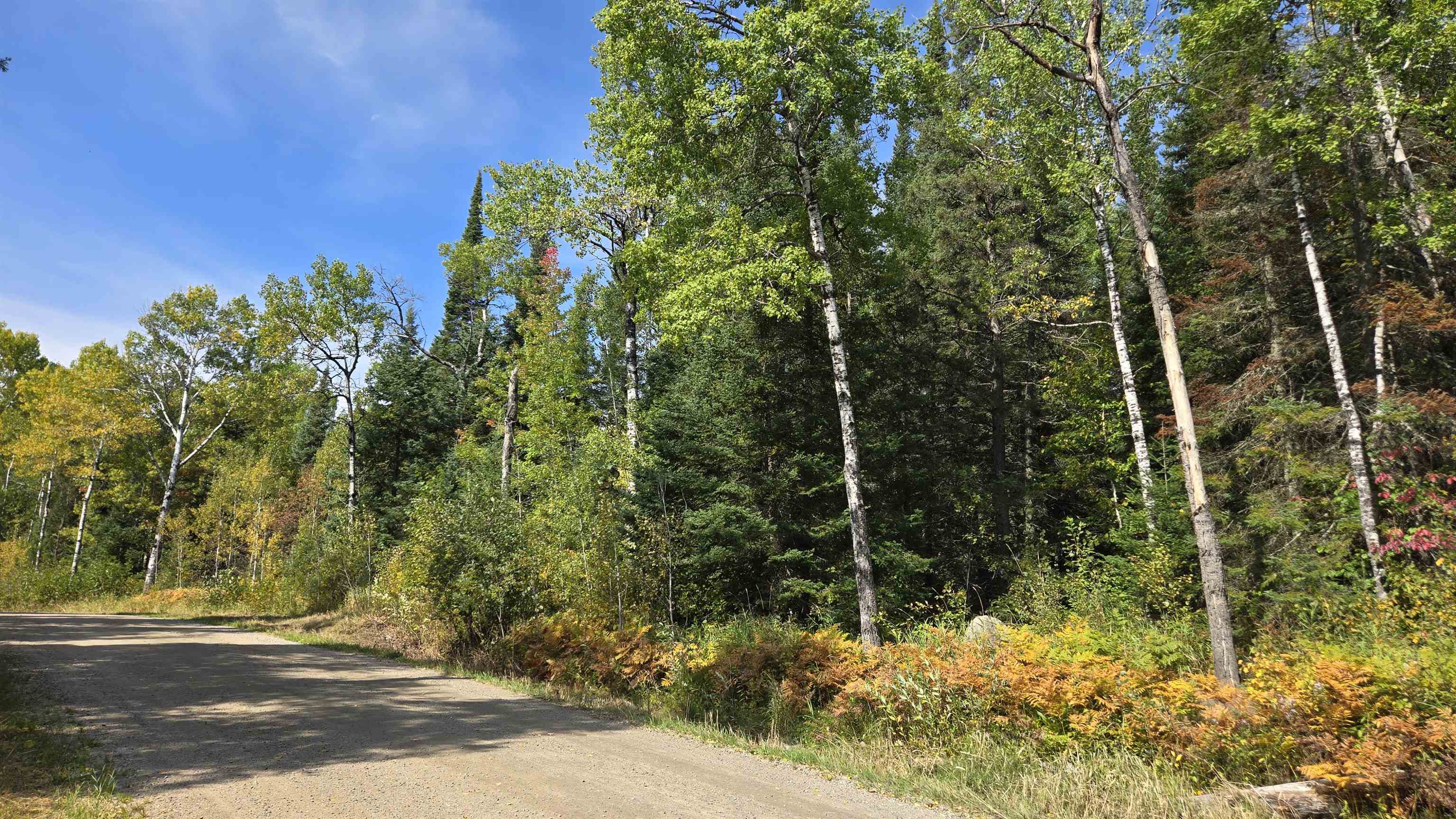 12012 Keyes Road Orr, MN 55771 - Photo 14 of 22 View of dirt / gravel road featuring a view of trees