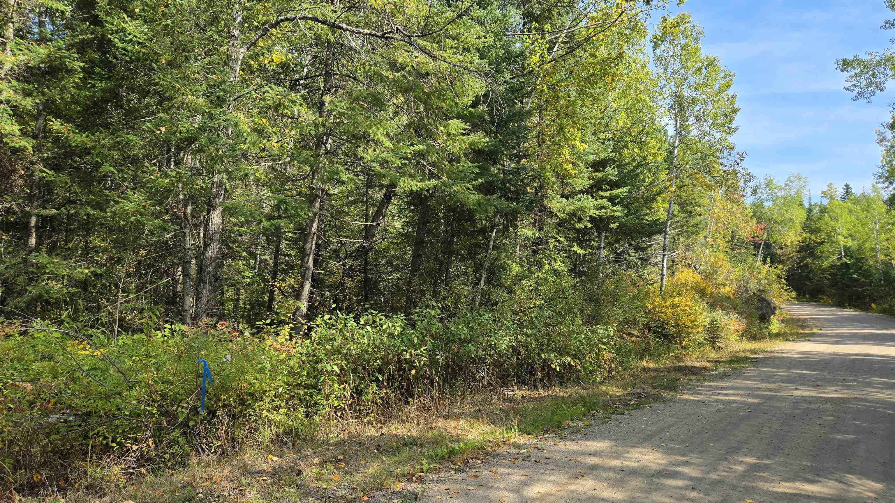 12012 Keyes Road Orr, MN 55771 - Photo 16 of 22 View of dirt / gravel road featuring a view of trees