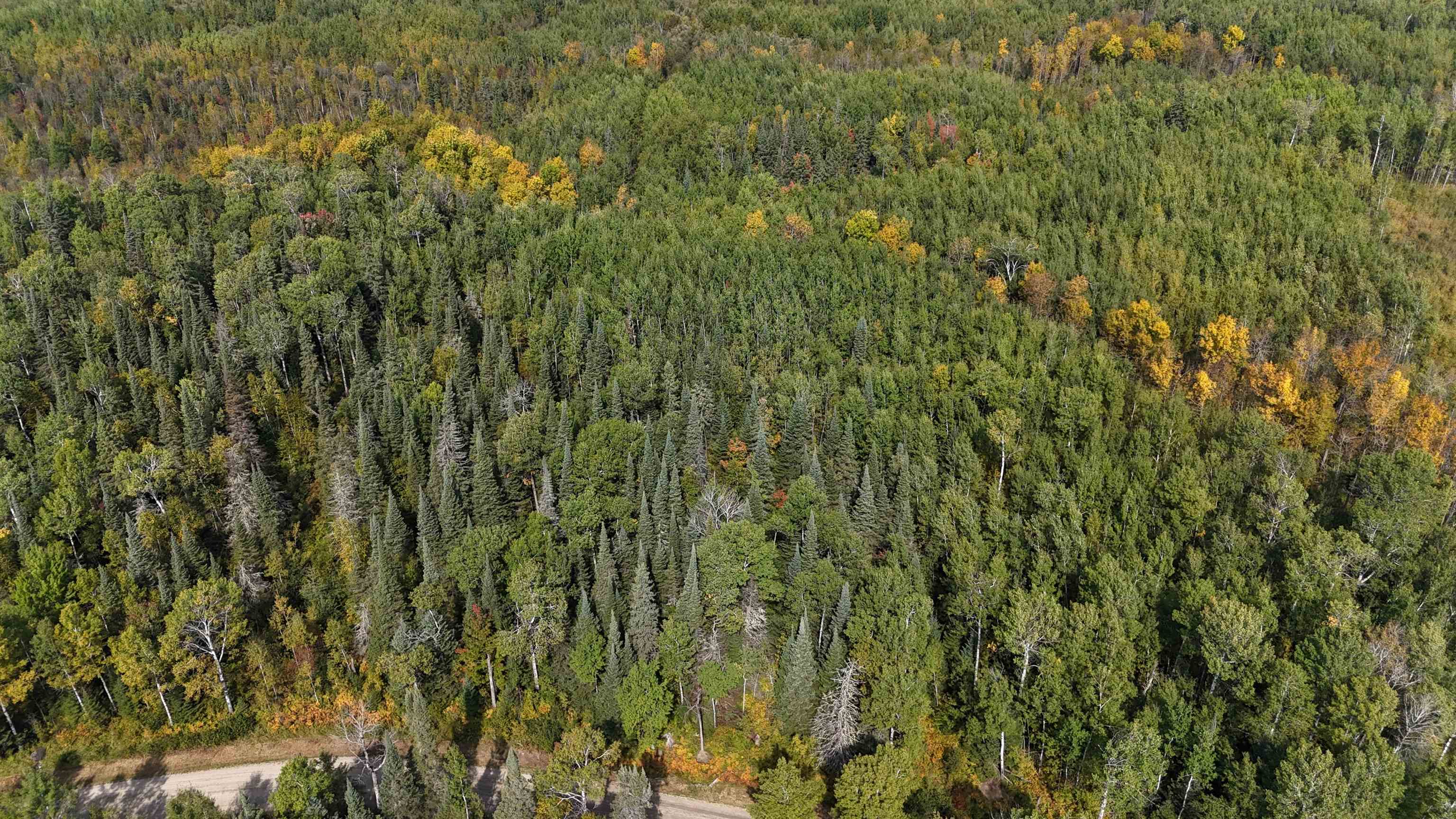 12012 Keyes Road Orr, MN 55771 - Photo 6 of 22 Aerial view of property's location featuring a heavily wooded area