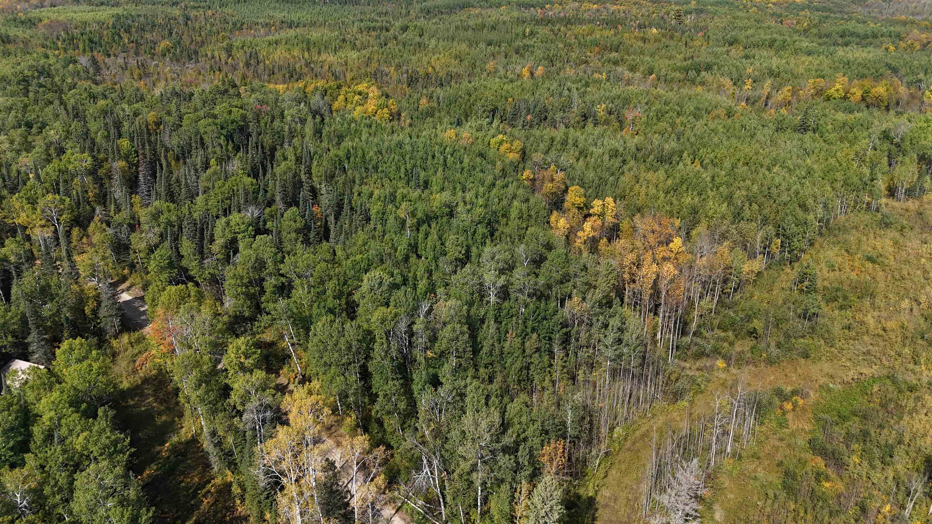 12012 Keyes Road Orr, MN 55771 - Photo 7 of 22 Aerial view of property's location featuring a heavily wooded area