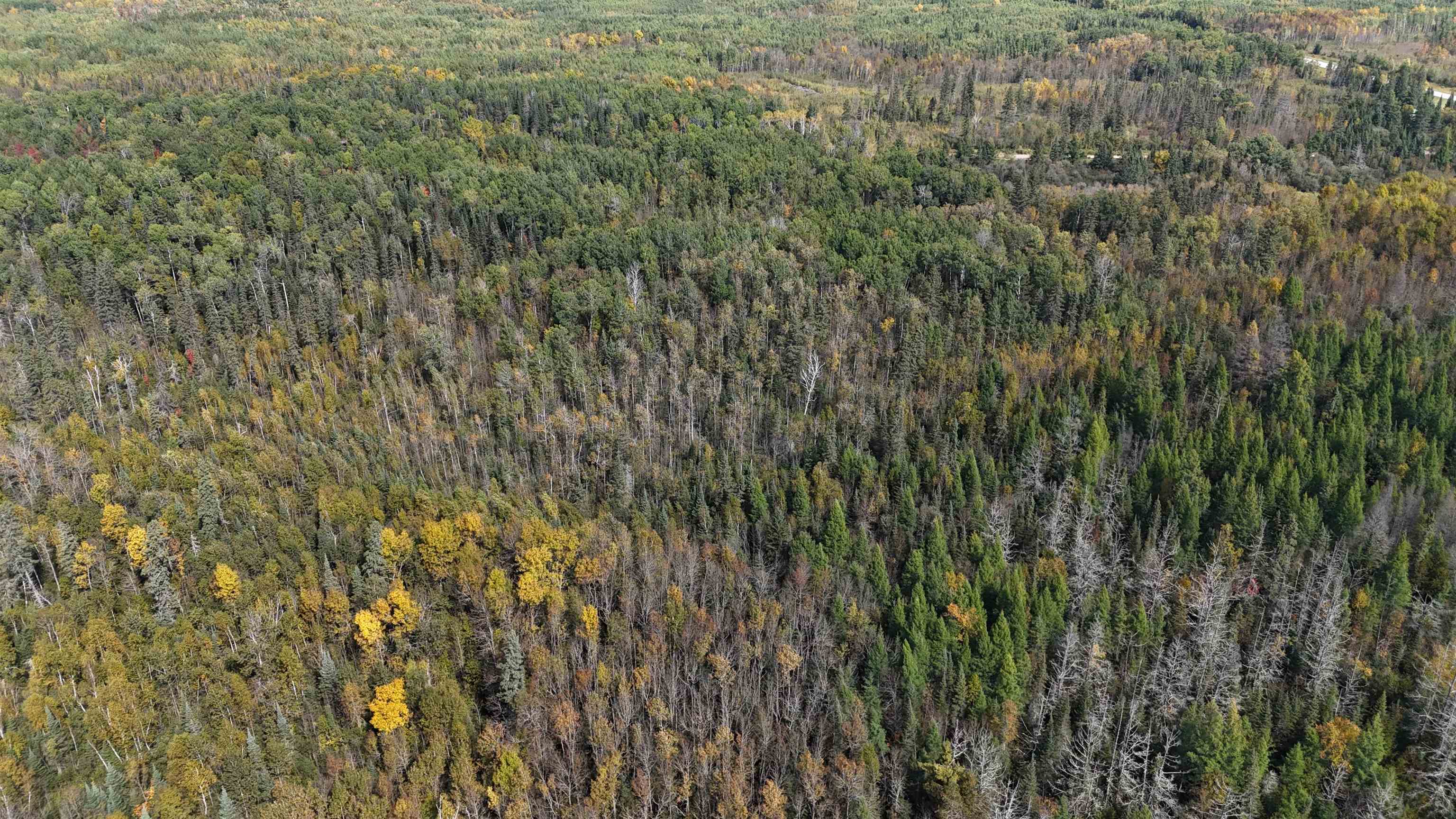12012 Keyes Road Orr, MN 55771 - Photo 8 of 22 Aerial view of property's location