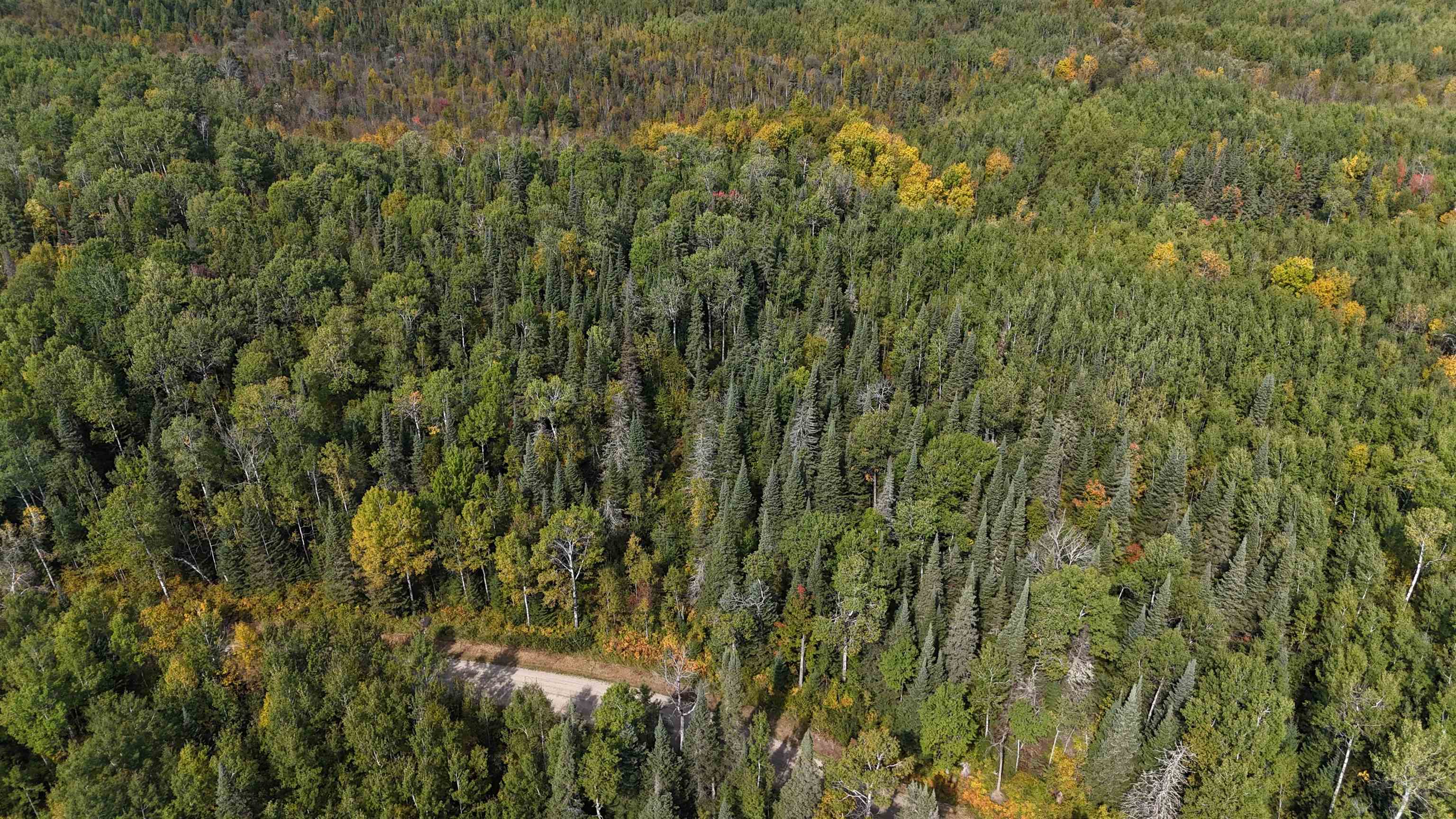 12012 Keyes Road Orr, MN 55771 - Photo 9 of 22 Aerial view of property's location featuring a heavily wooded area