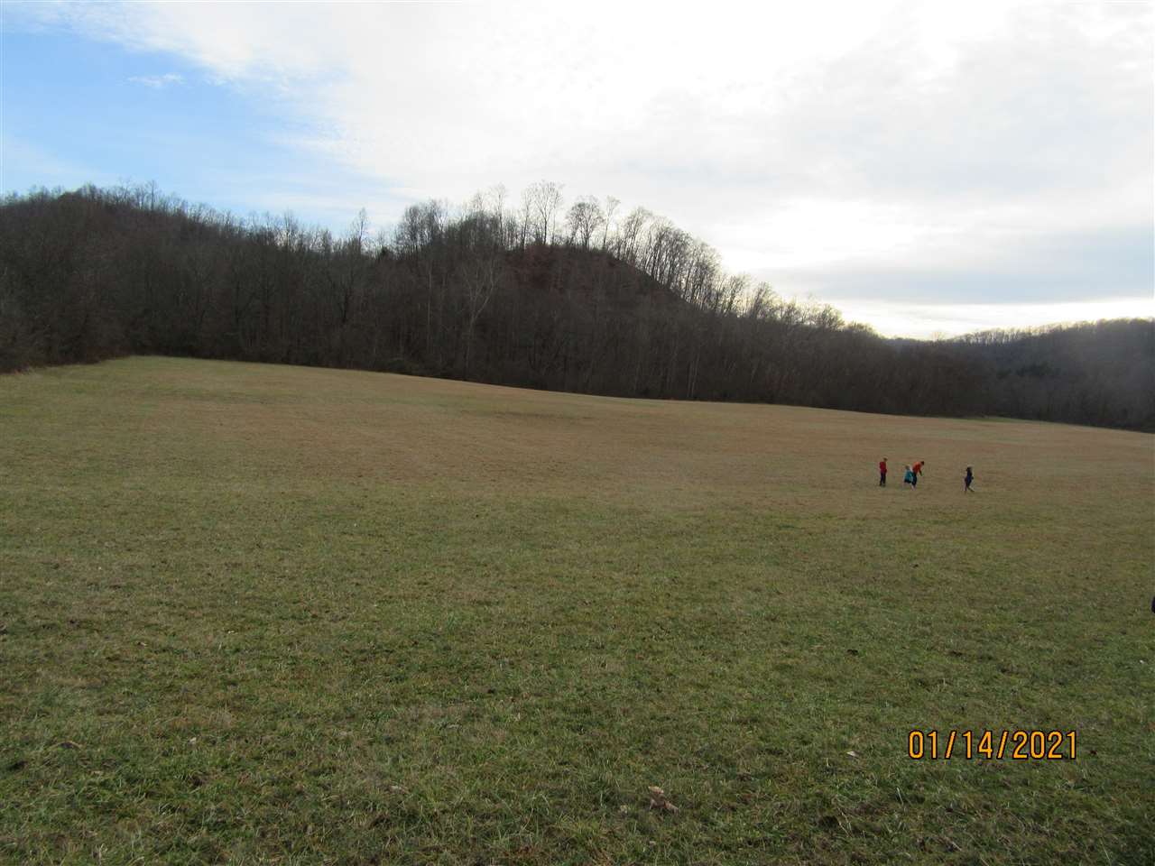 207 Rt Argillite, KY 41121 - Photo 1 of 1 Gallery Image 1