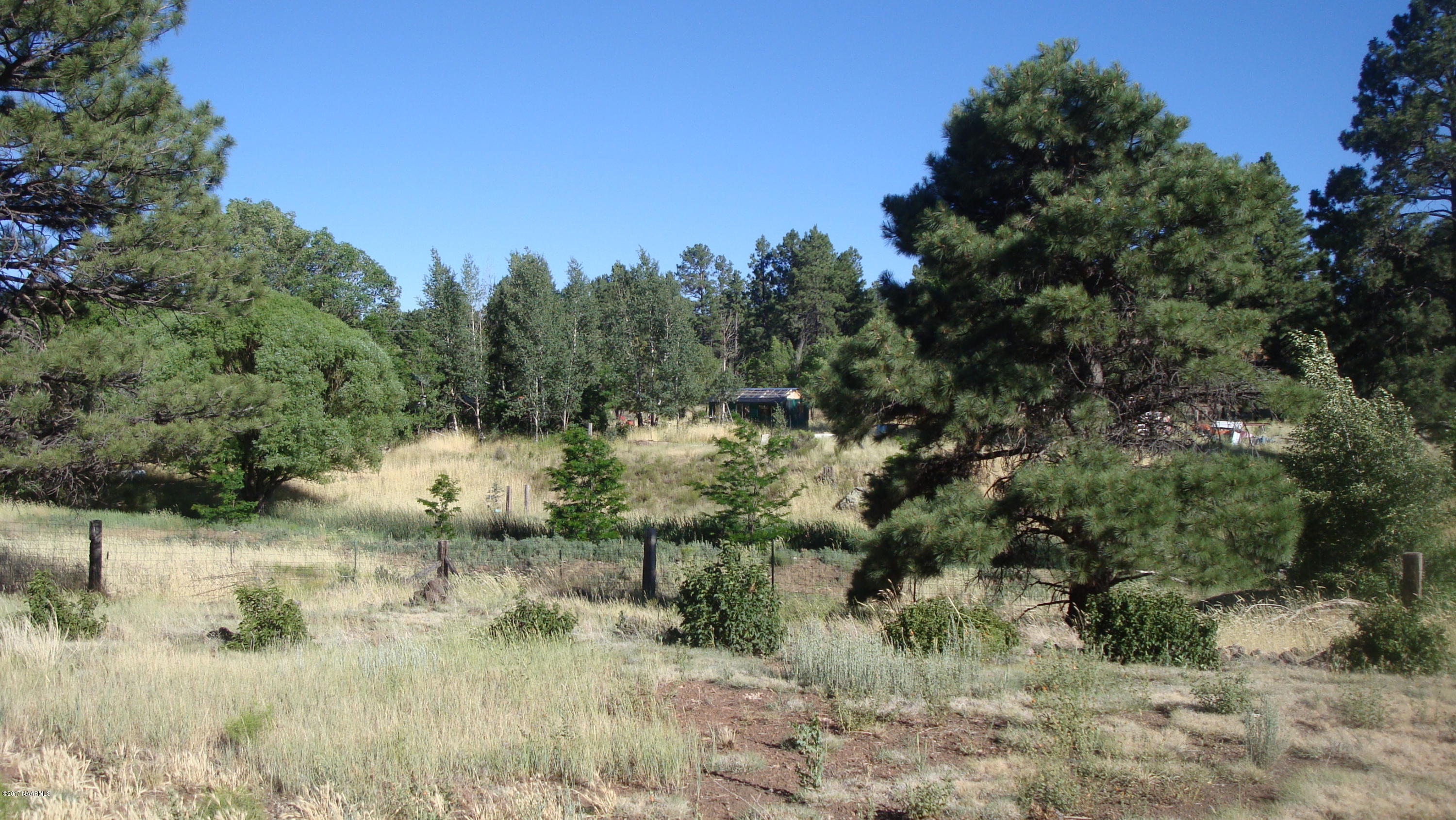 8210 Koch Field Road Flagstaff, AZ 86004 - Photo 7 of 7 2017-06-27 16.06.33