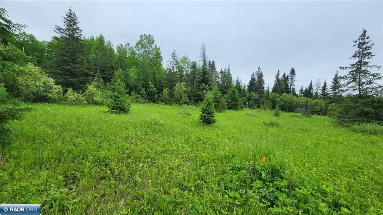 Tbd Town Road Orr, MN 55771 - Photo 2 of 9
