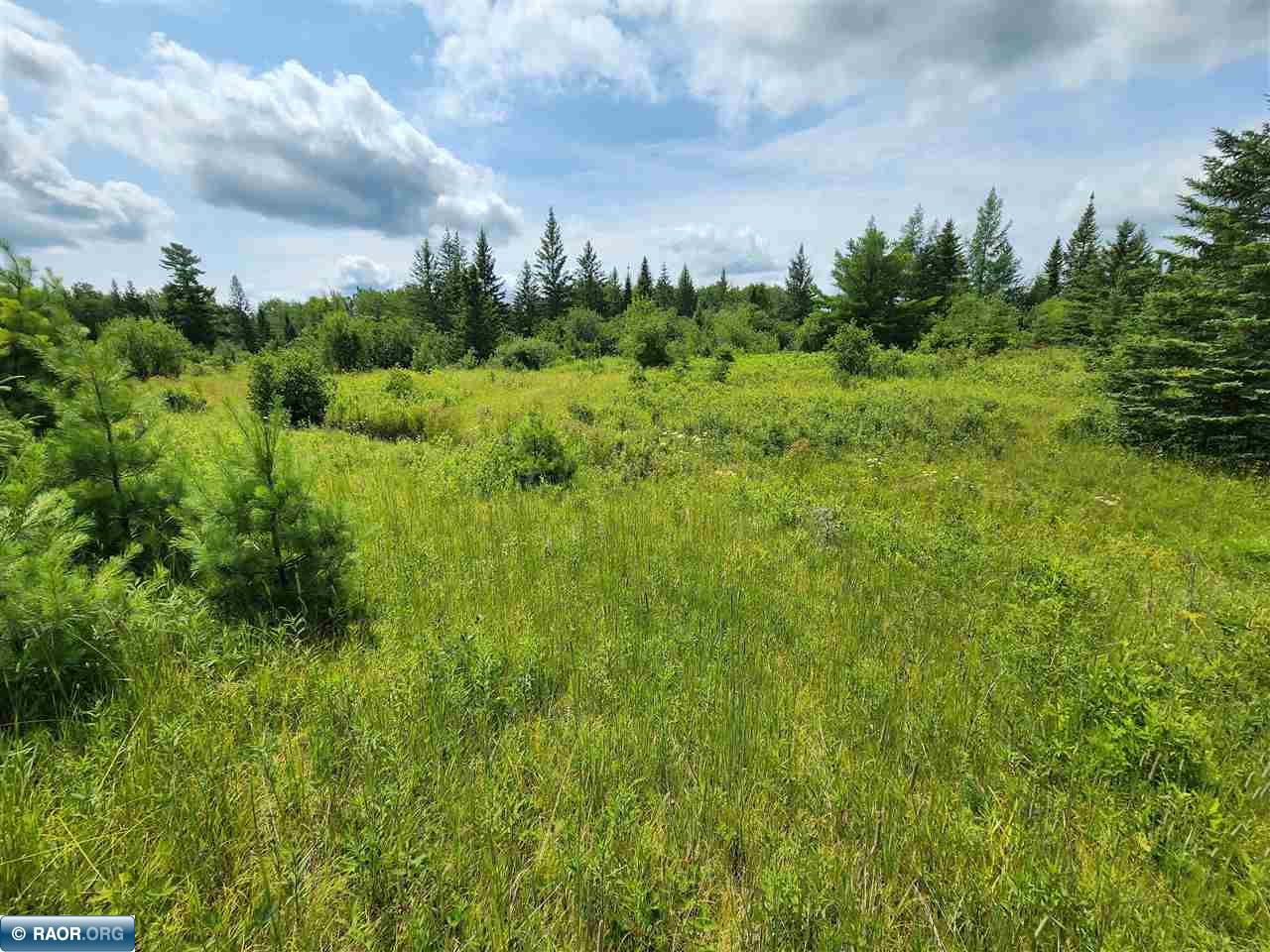 Tbd Town Road Orr, MN 55771 - Photo 4 of 9