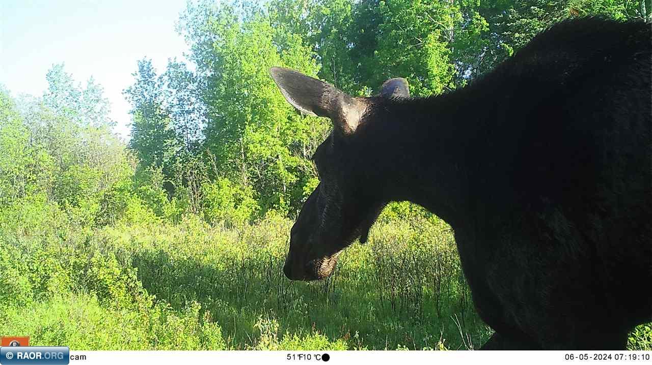 Tbd Town Road Orr, MN 55771 - Photo 7 of 9