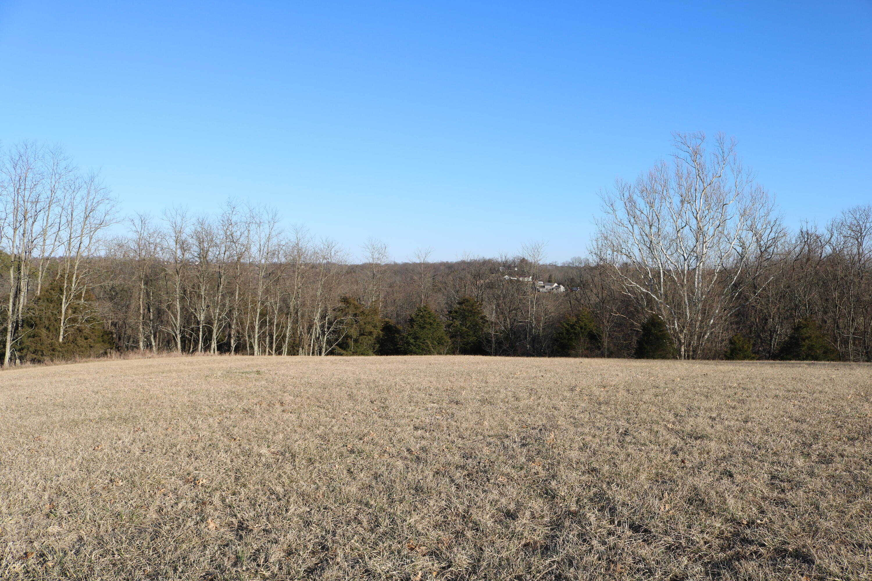 5.21-acres Vallandingham Road Dry Ridge, KY 41035 - Photo 9 of 10