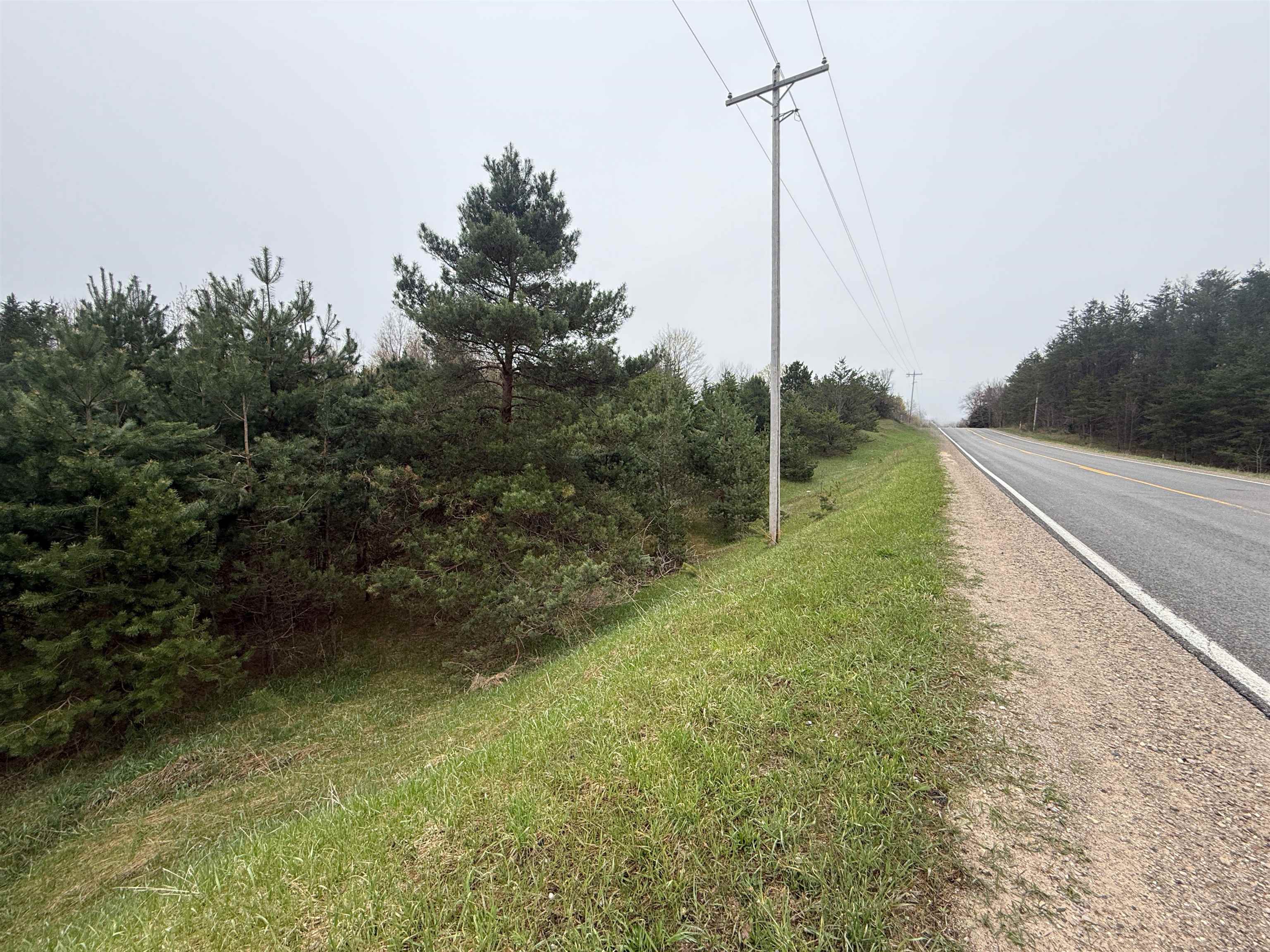 0 West County Line Road, Unit LOT: C Thompsonville, MI 49683 - Photo 21 of 21