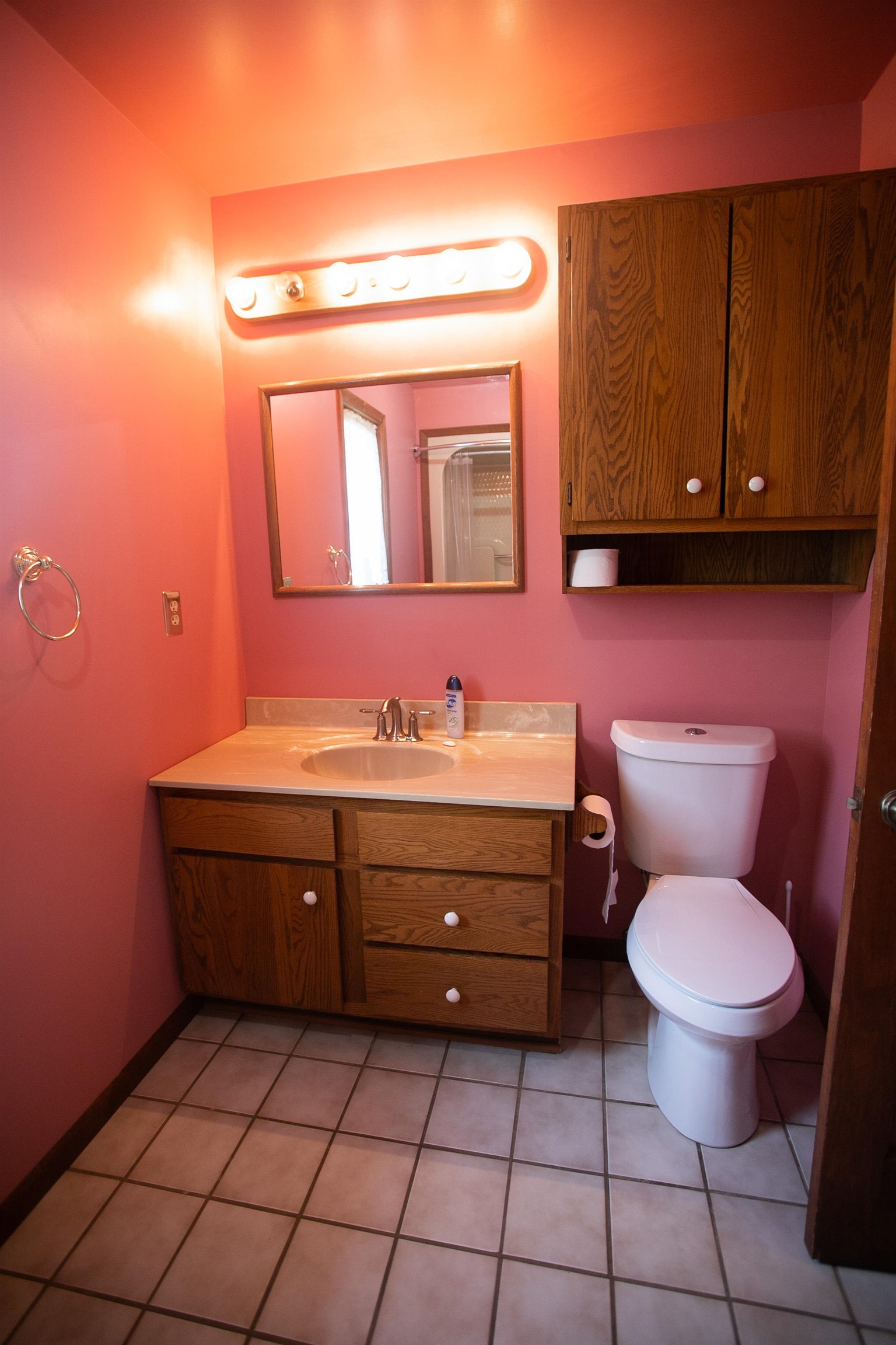 7375 Lemon Road Bancroft, MI 48414 - Photo 27 of 77