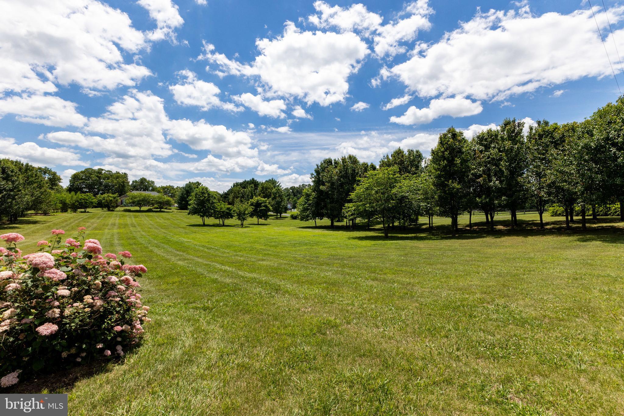 825 Parkview Estates Road Luray, VA 22835 - Photo 25 of 31