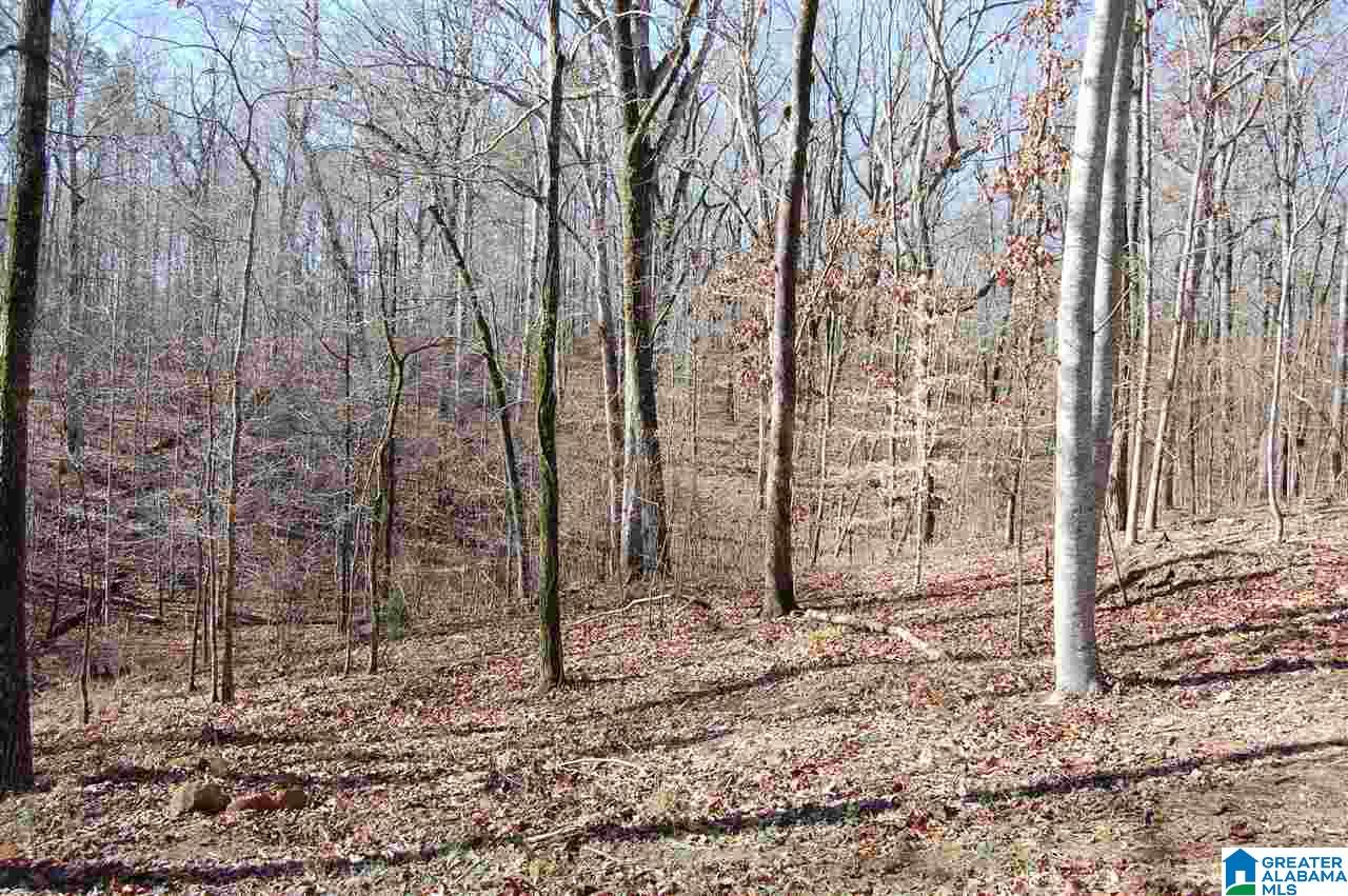 875 Wolf Pen Ridge Road Pell City, AL 35128 - Photo 3 of 47 Gallery Image 3