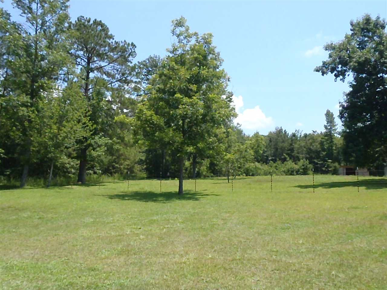 80 Rambling Lane Benson, NC 27504 - Photo 6 of 17 Photo 6