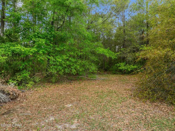 $59,999 | 0 Marian Drive, Bonifay, FL 32425