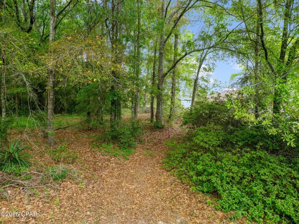 $59,999 | 0 Marian Drive, Bonifay, FL 32425