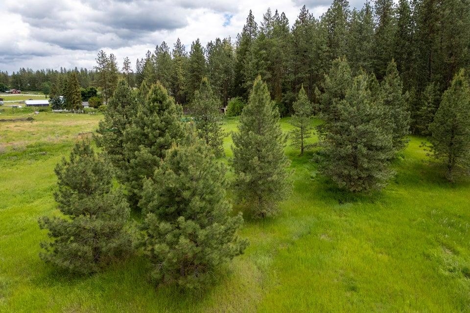 Tbd South Elm Street Colville, WA 99114 - Photo 12 of 18