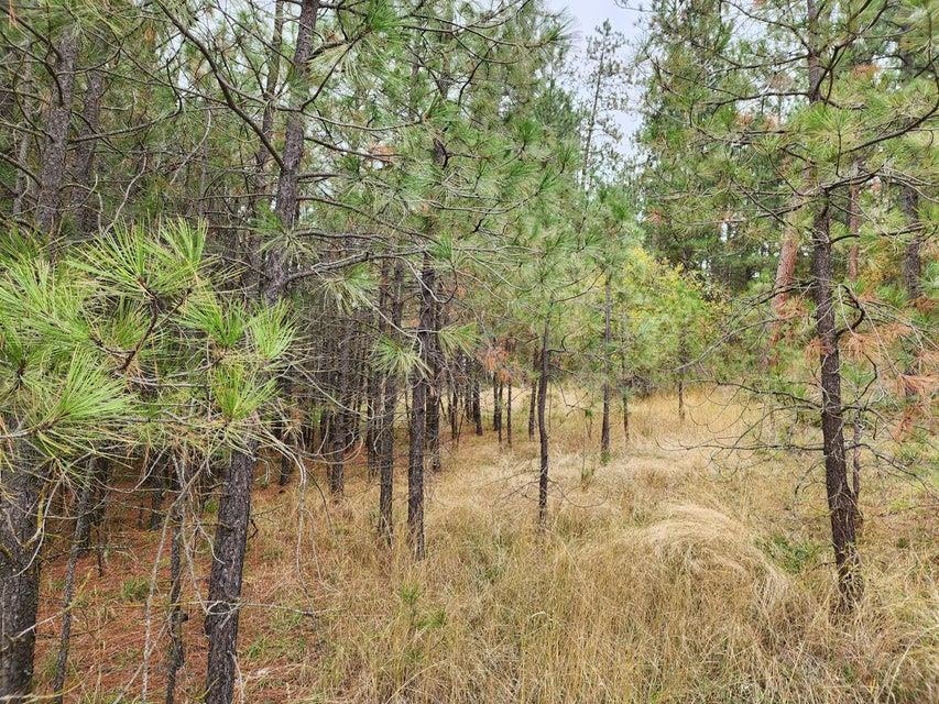 Tbd South Elm Street Colville, WA 99114 - Photo 15 of 18