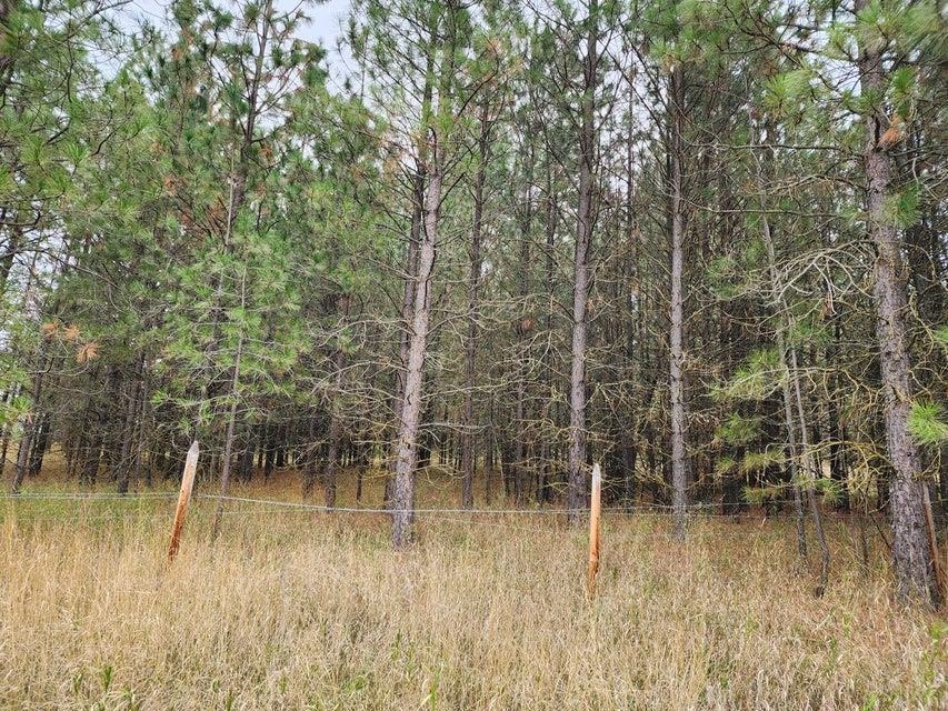 Tbd South Elm Street Colville, WA 99114 - Photo 16 of 18