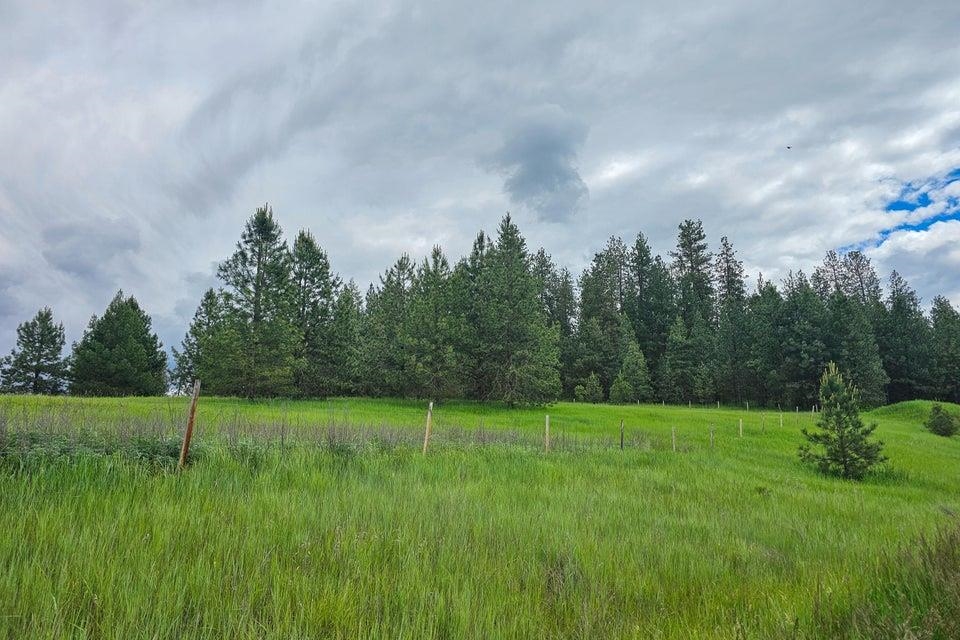 Tbd South Elm Street Colville, WA 99114 - Photo 5 of 18