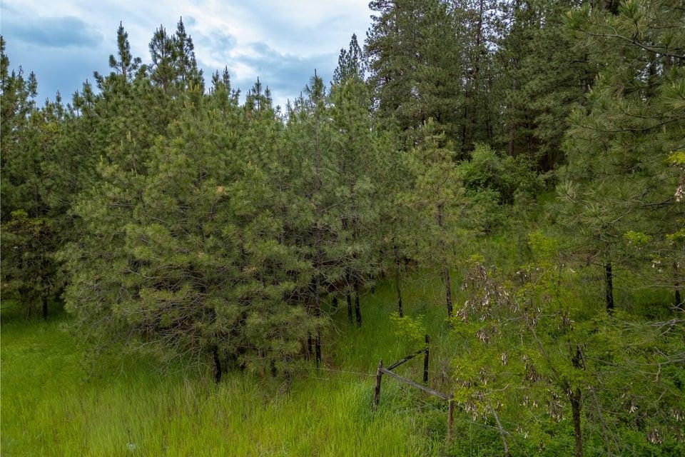 Tbd South Elm Street Colville, WA 99114 - Photo 9 of 18