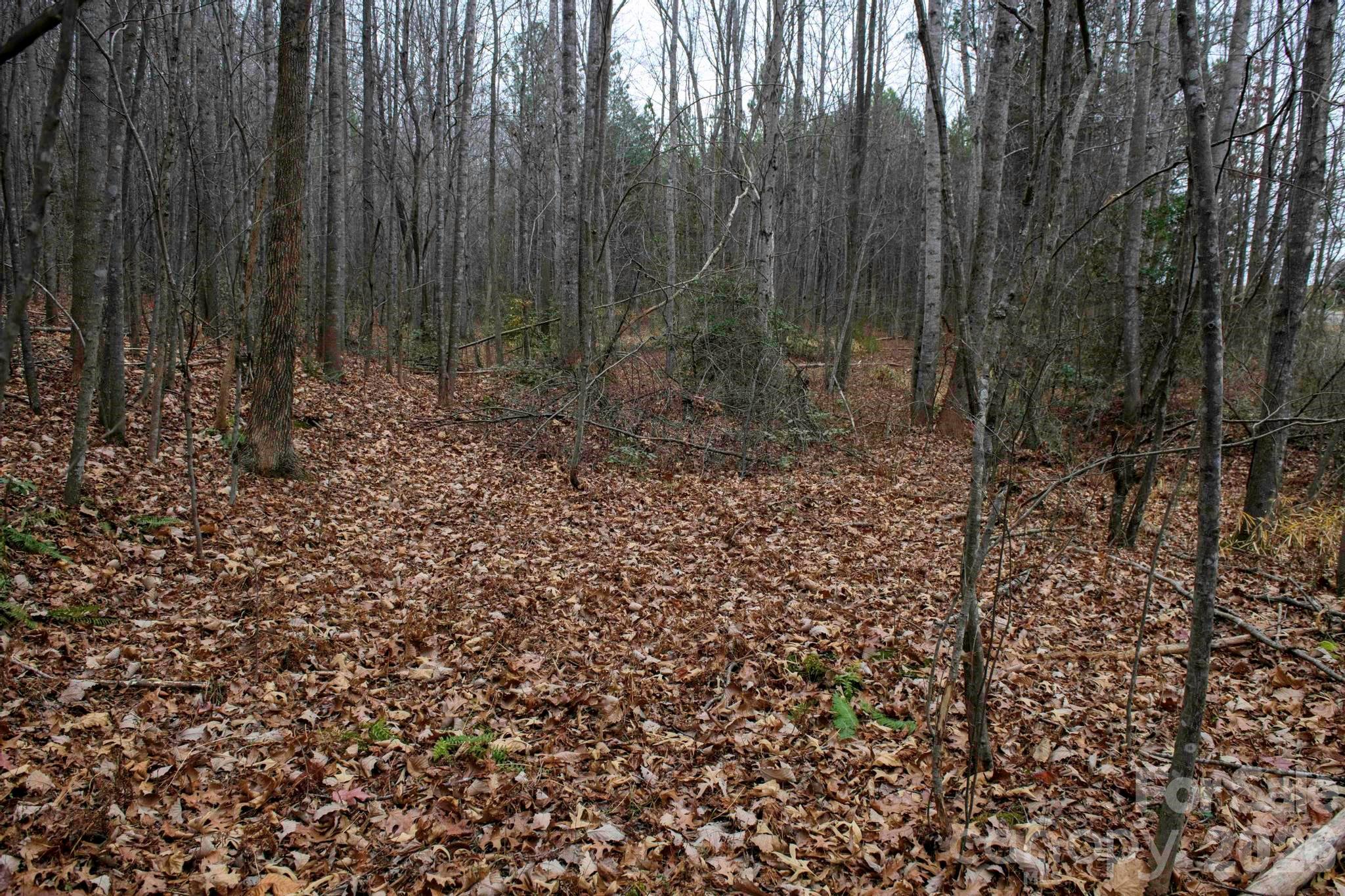 3727 Mt Beulah Road Sherrills Ford, NC 28673 - Photo 11 of 11