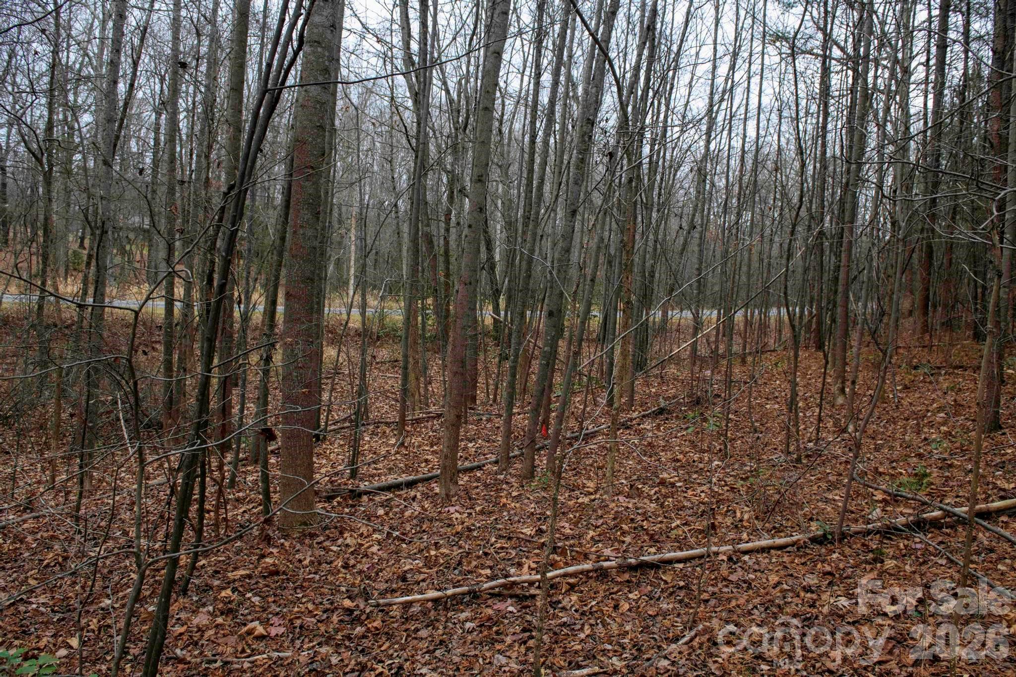 3727 Mt Beulah Road Sherrills Ford, NC 28673 - Photo 3 of 11