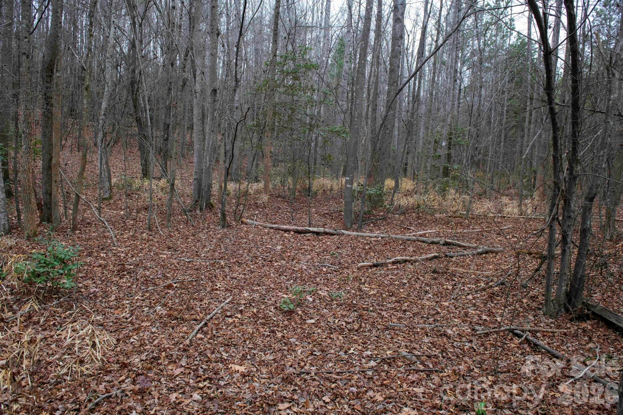 3727 Mt Beulah Road Sherrills Ford, NC 28673 - Photo 5 of 11