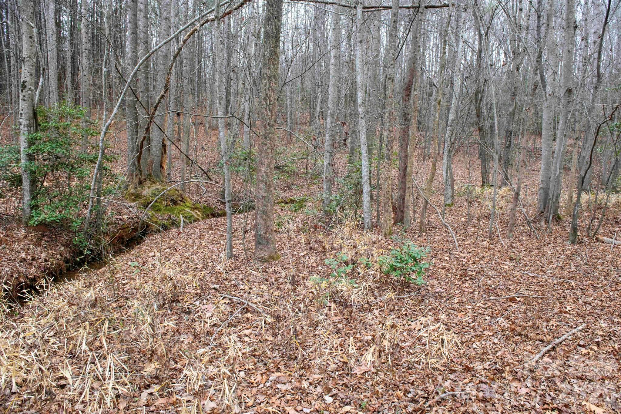 3727 Mt Beulah Road Sherrills Ford, NC 28673 - Photo 6 of 11