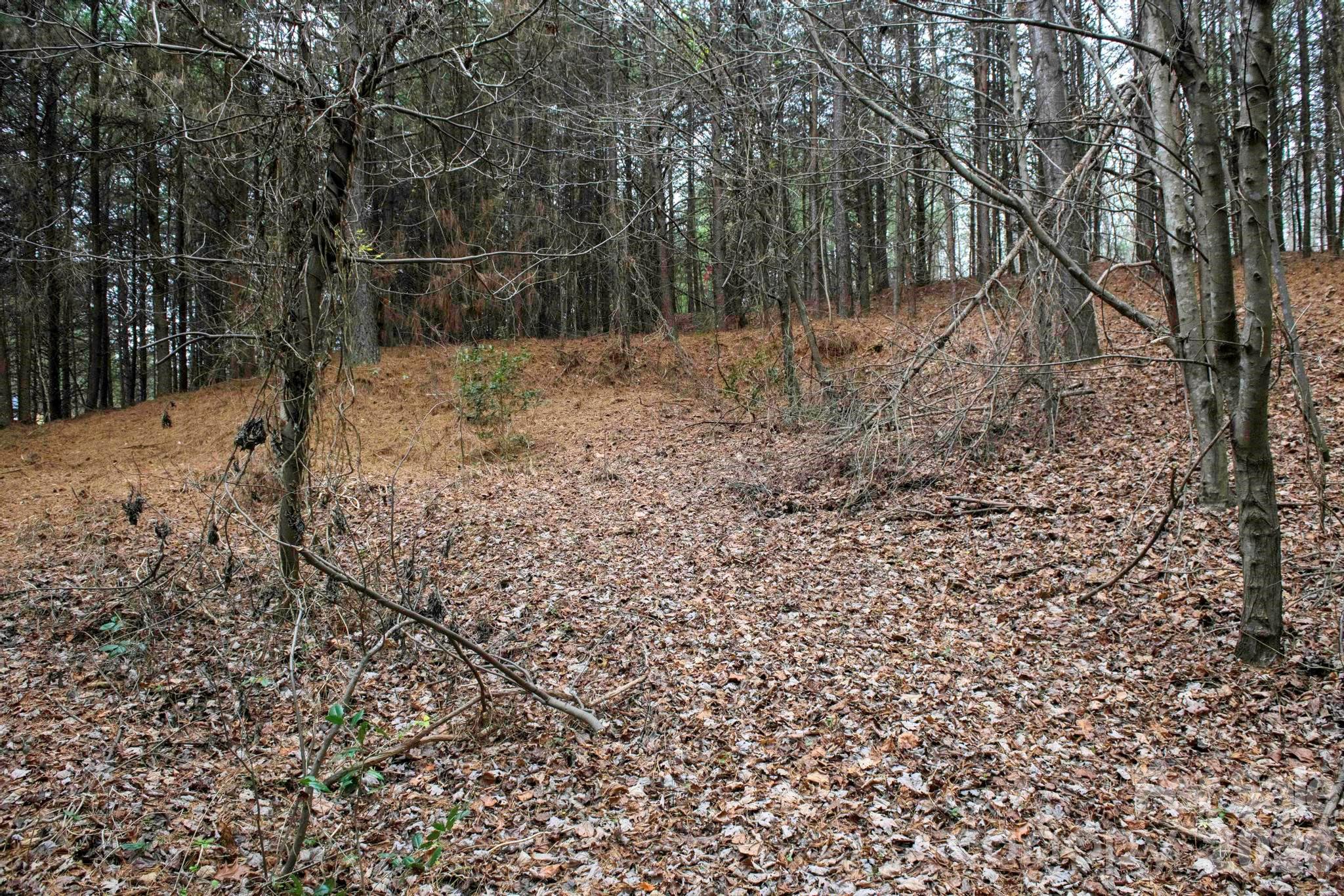 3727 Mt Beulah Road Sherrills Ford, NC 28673 - Photo 8 of 11