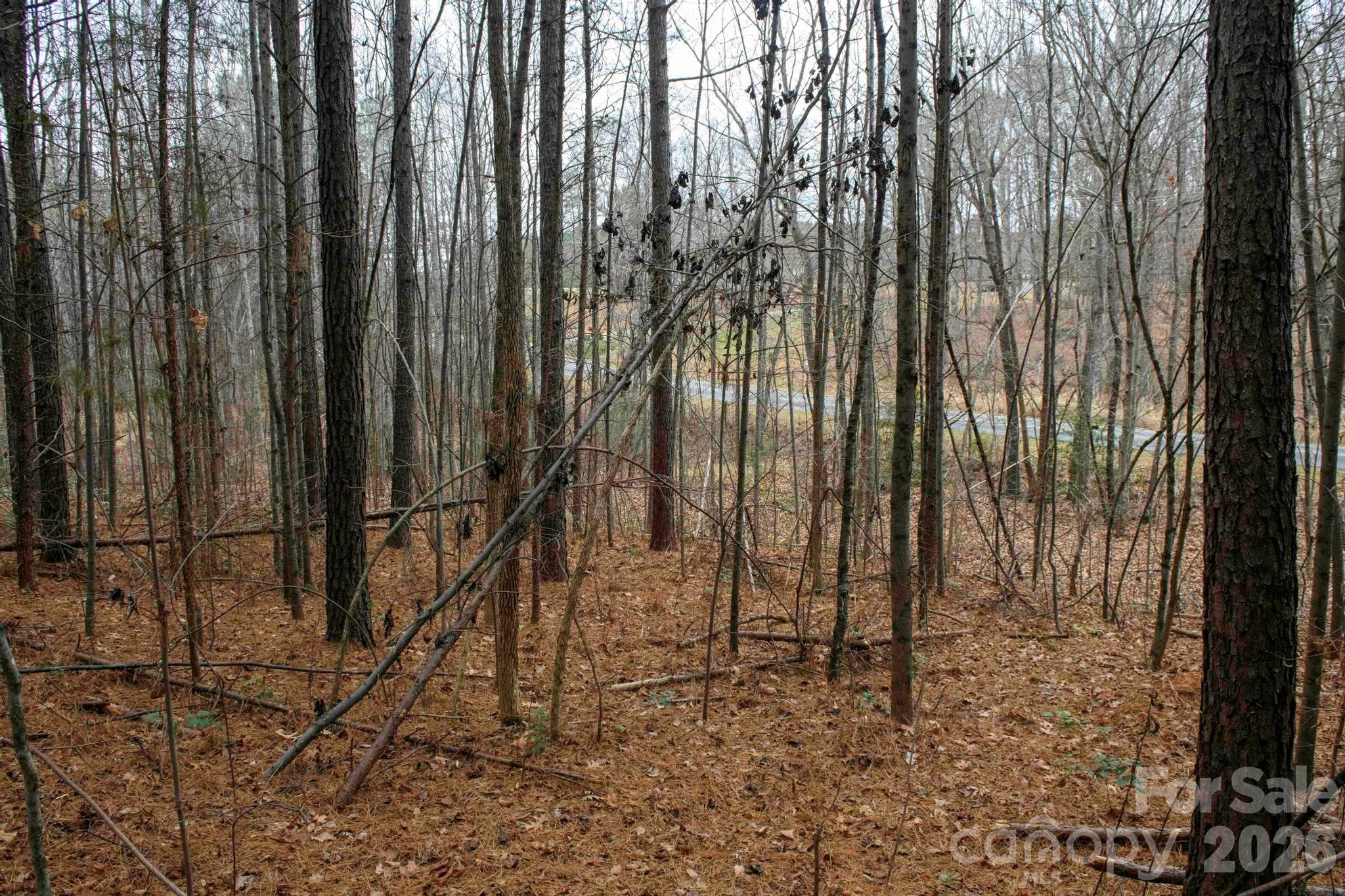 3727 Mt Beulah Road Sherrills Ford, NC 28673 - Photo 9 of 11