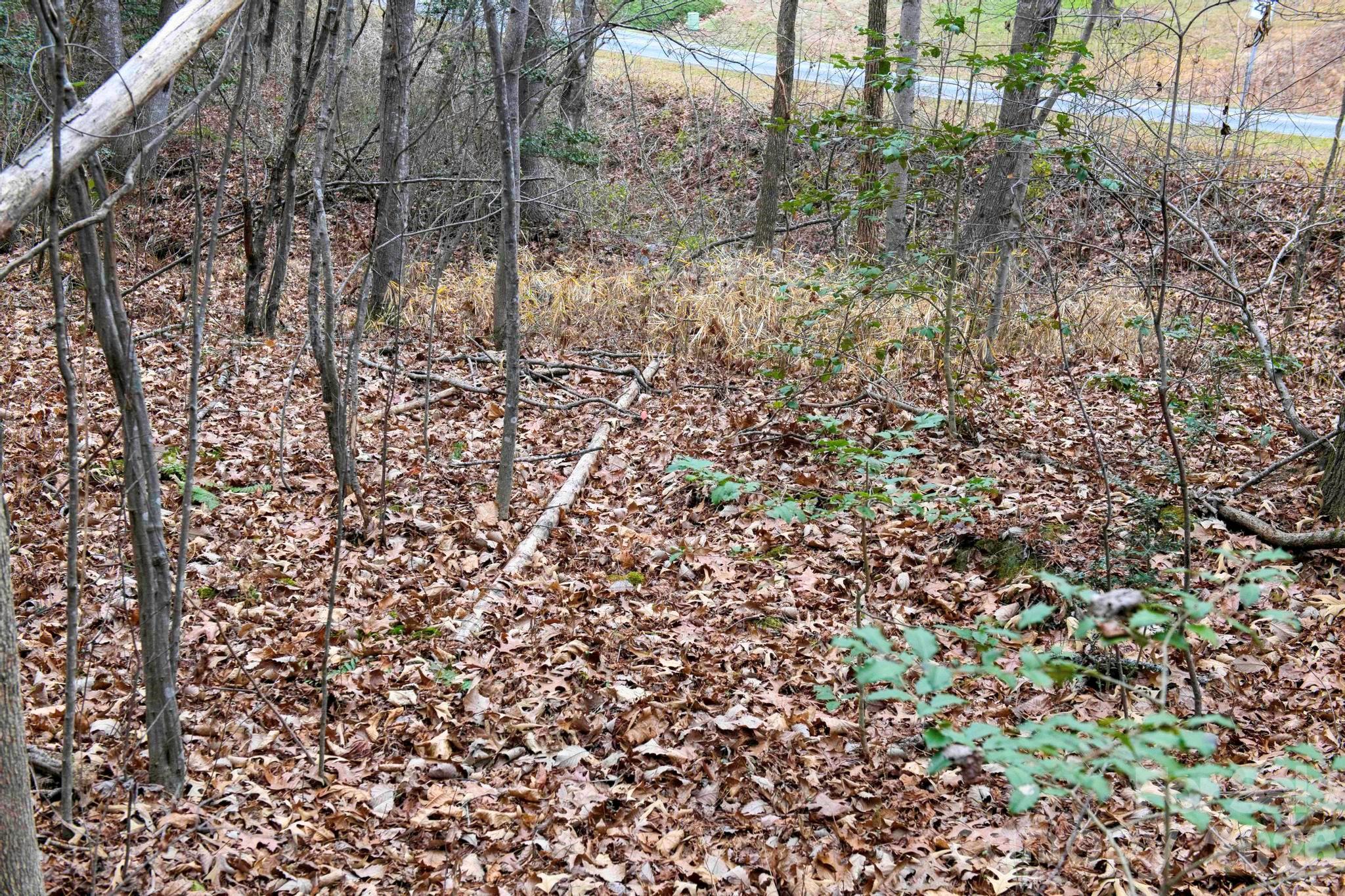 3727 Mt Beulah Road Sherrills Ford, NC 28673 - Photo 10 of 11