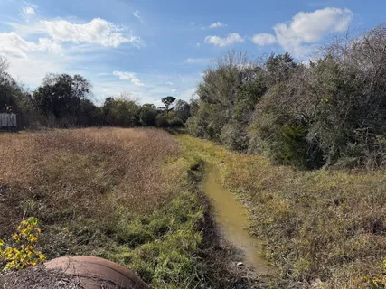 a view of a field of grass and trees
