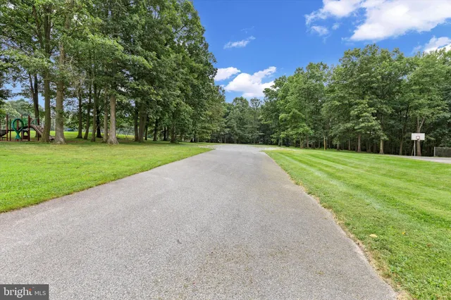 a view of a park with large trees