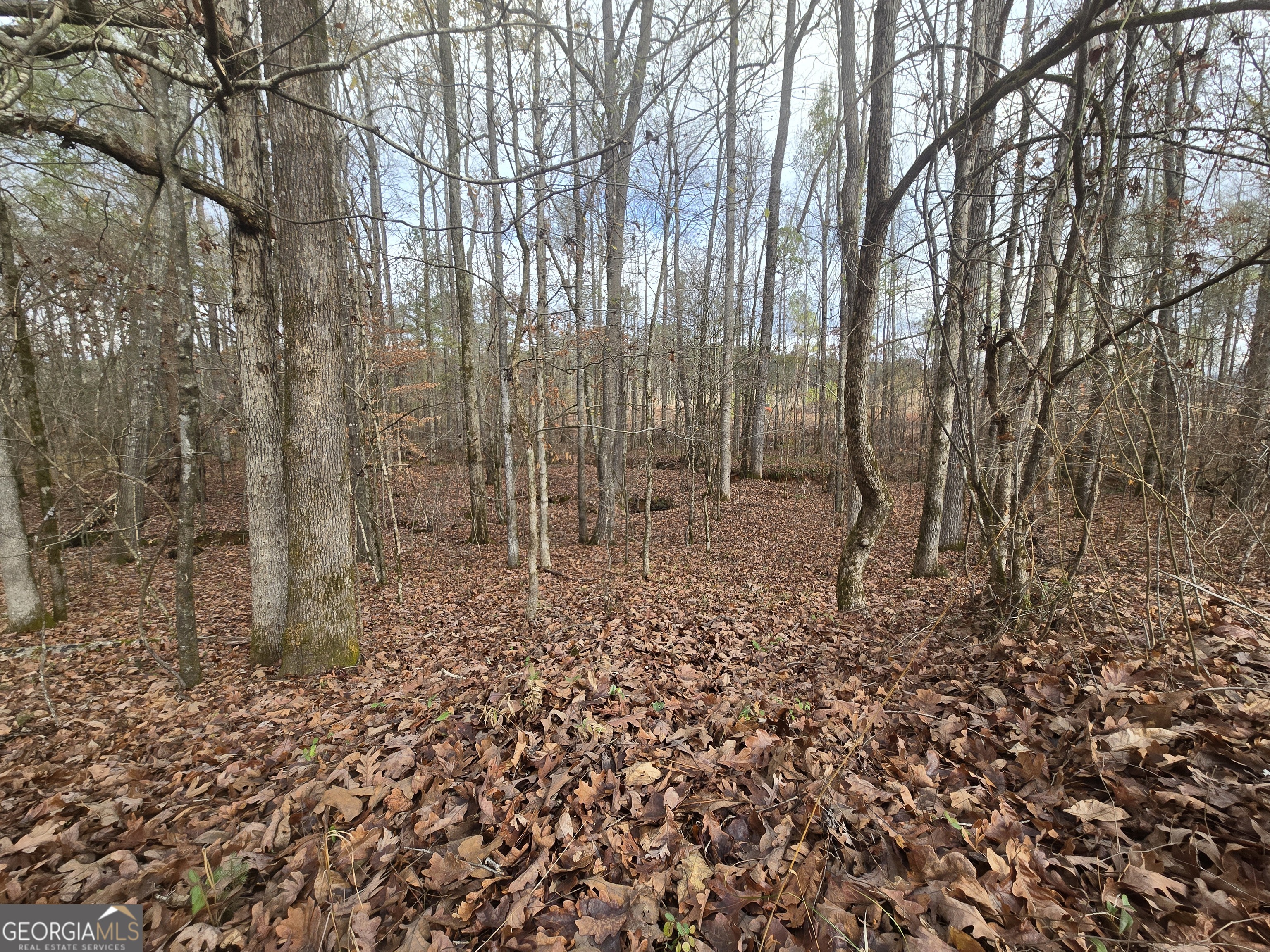 0 Martin Mill Road Eatonton, GA 31024 - Photo 11 of 17 a view of backyard with green space