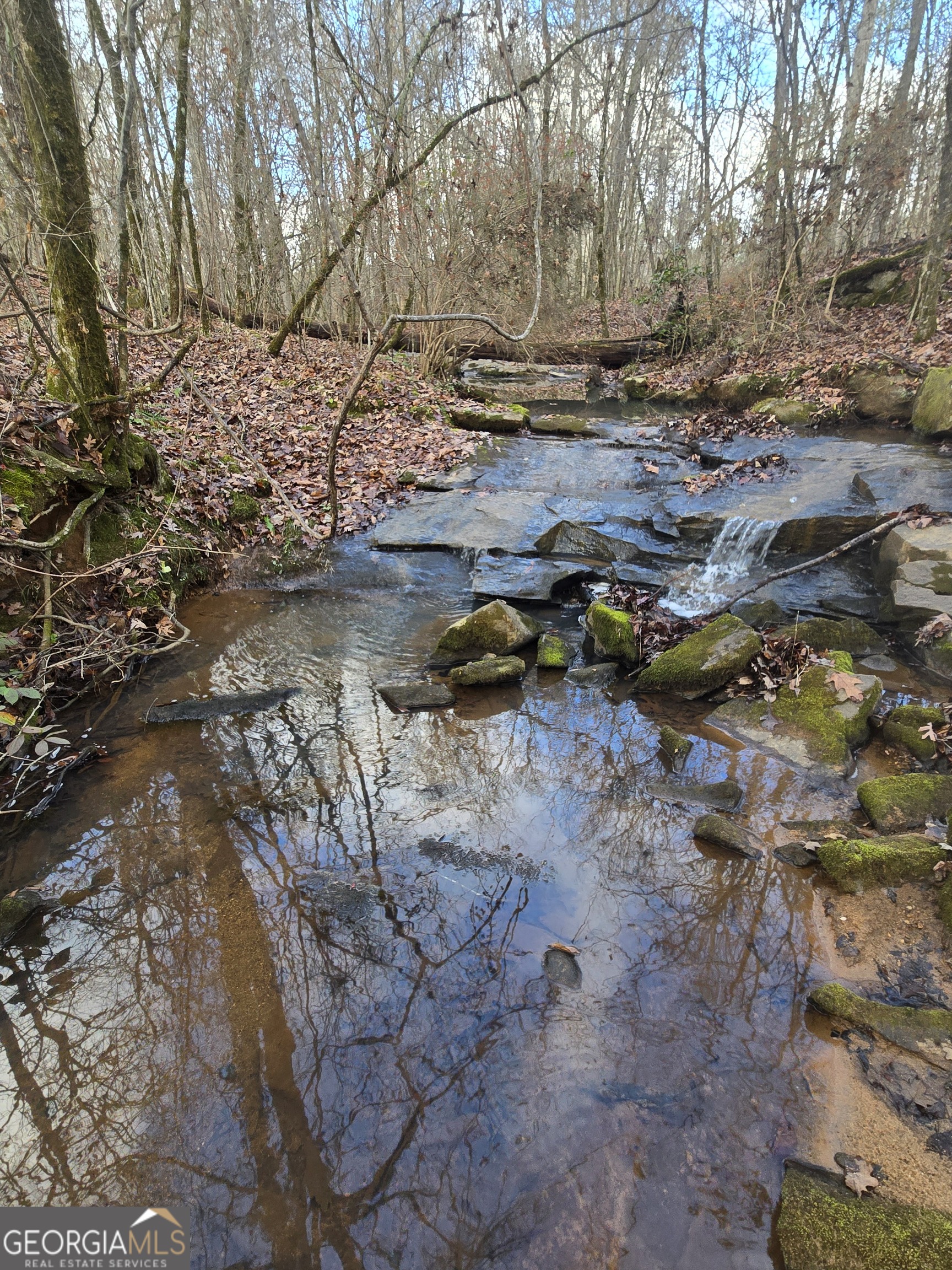 0 Martin Mill Road Eatonton, GA 31024 - Photo 12 of 17 a view of a yard with trees