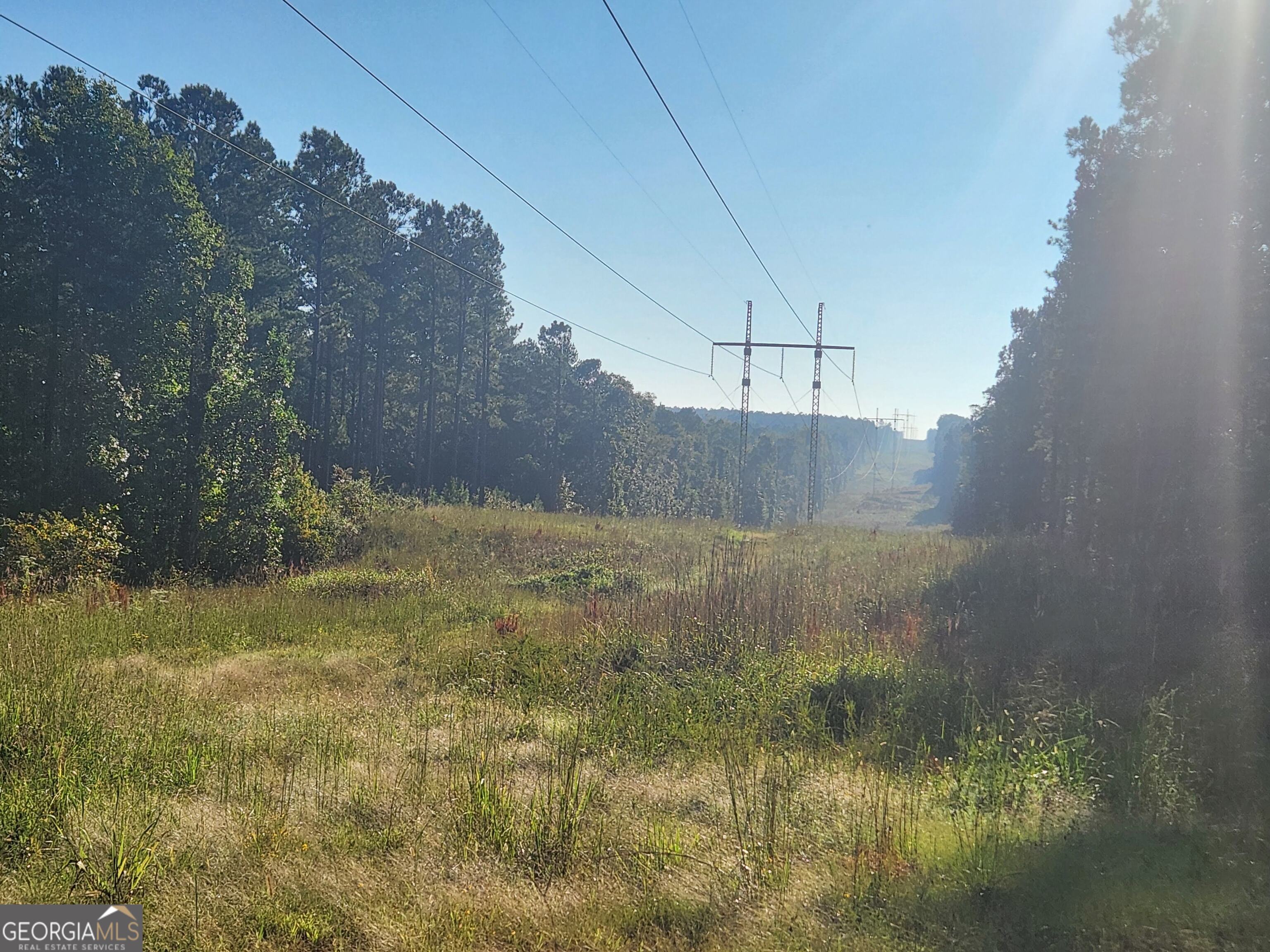 0 Martin Mill Road Eatonton, GA 31024 - Photo 14 of 17 a view of a yard