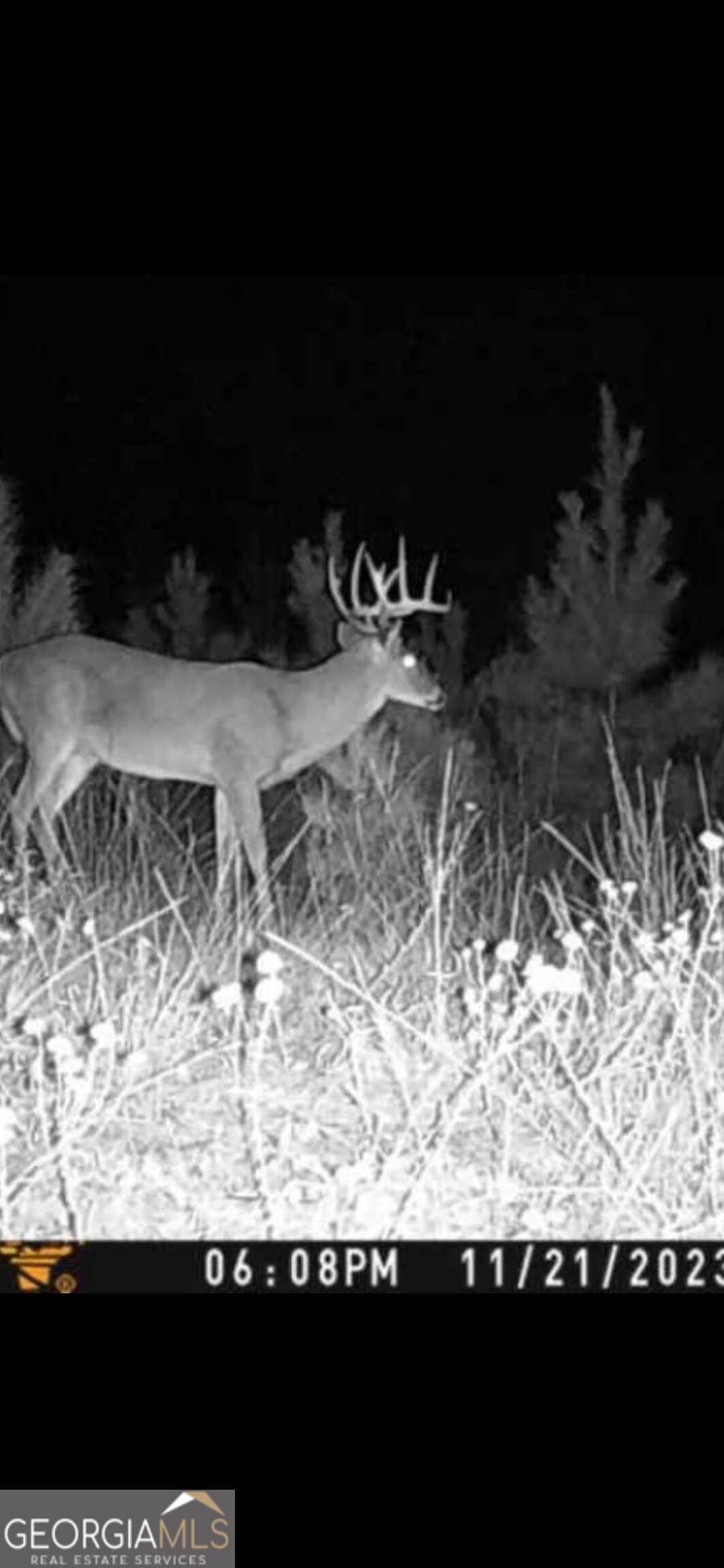 0 Martin Mill Road Eatonton, GA 31024 - Photo 16 of 17 a view of a backyard of the house