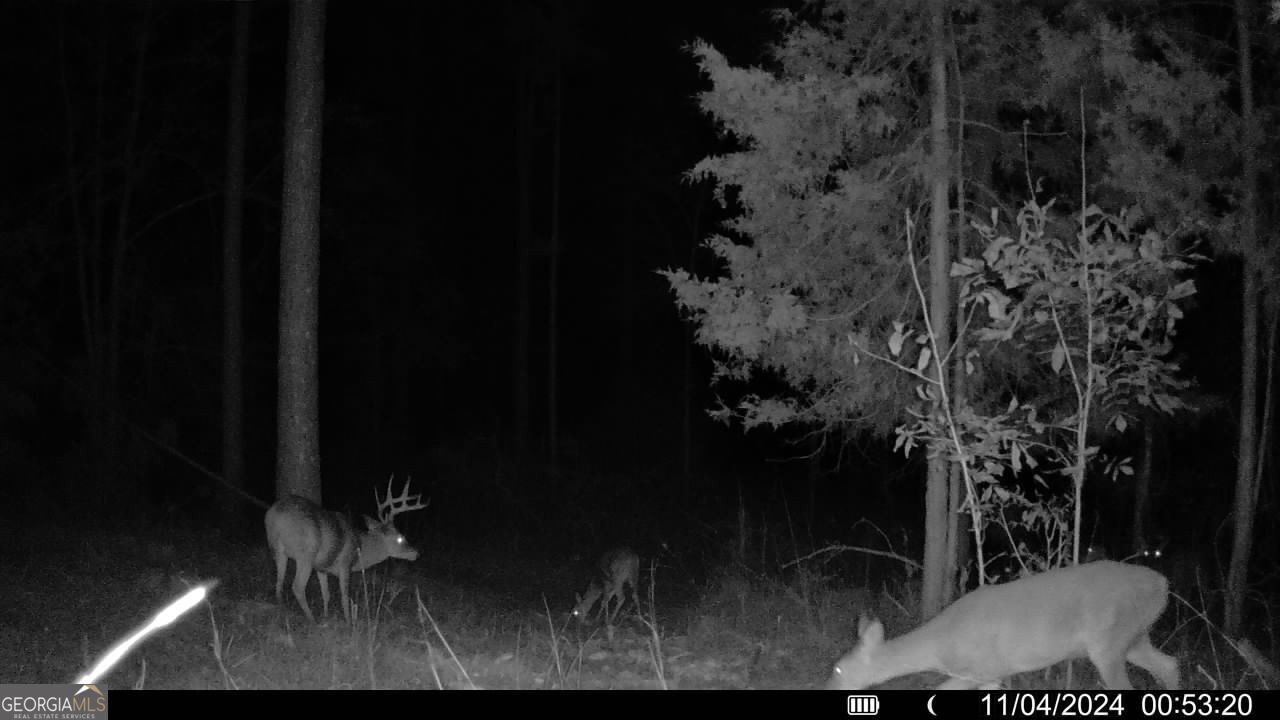 0 Martin Mill Road Eatonton, GA 31024 - Photo 17 of 17 a backyard of a house with table and chairs