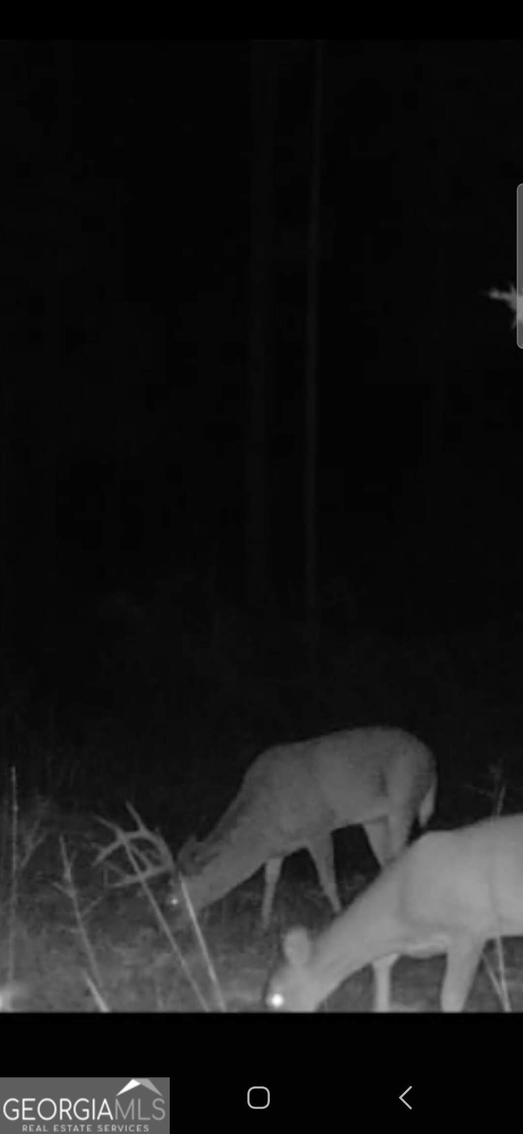 0 Martin Mill Road Eatonton, GA 31024 - Photo 3 of 17 a black and white photo of a lake