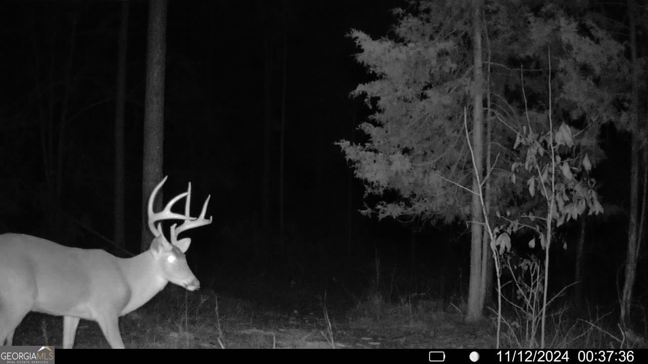 0 Martin Mill Road Eatonton, GA 31024 - Photo 4 of 17