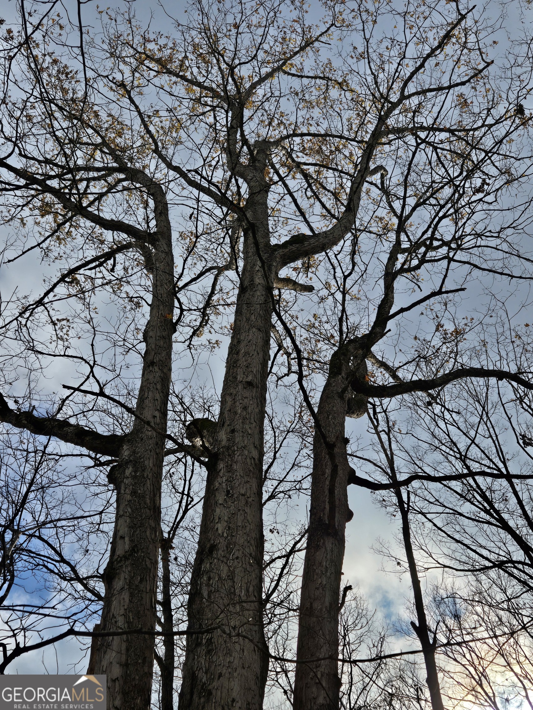 0 Martin Mill Road Eatonton, GA 31024 - Photo 6 of 17