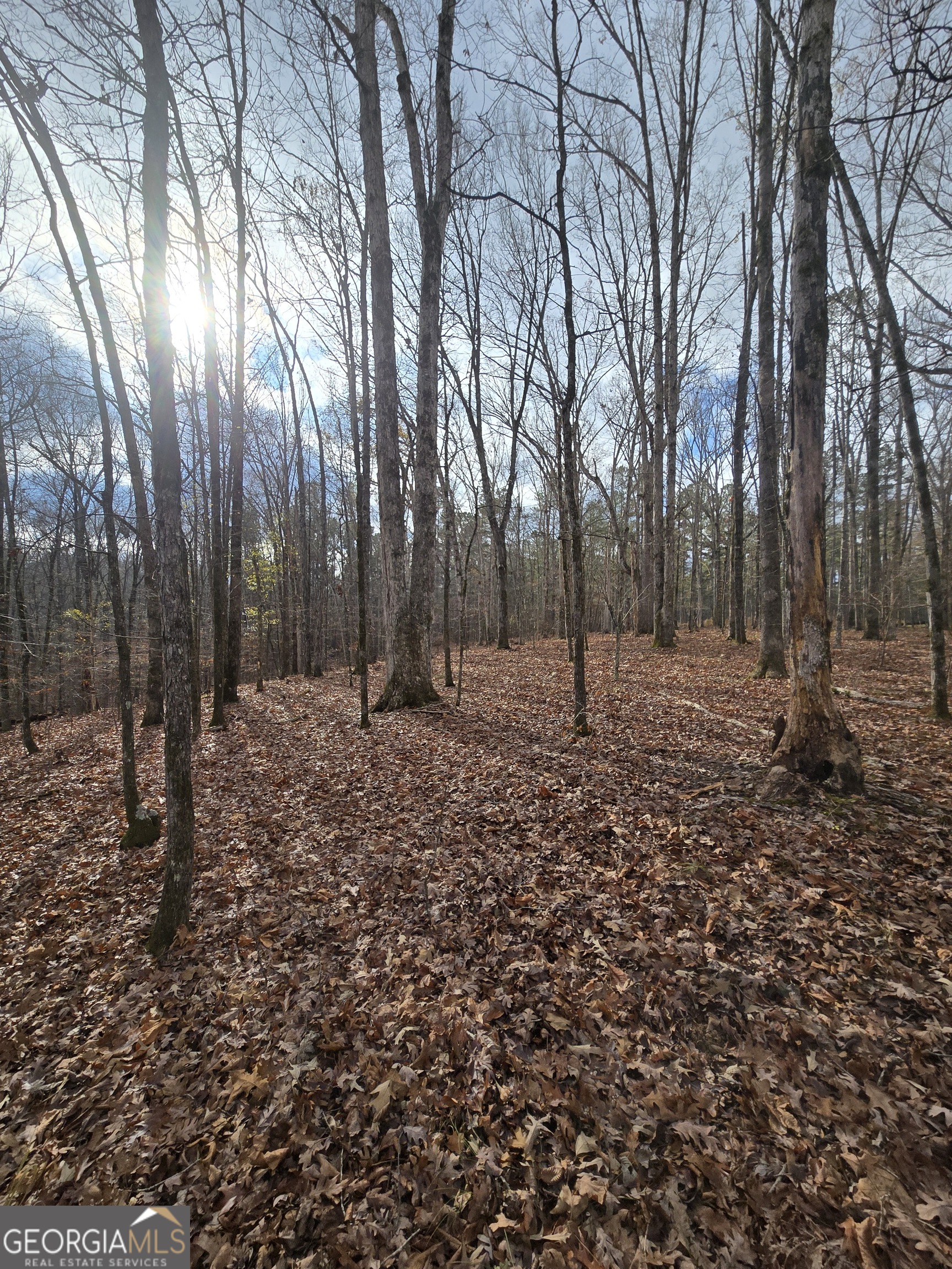 0 Martin Mill Road Eatonton, GA 31024 - Photo 8 of 17 a view of a backyard with trees